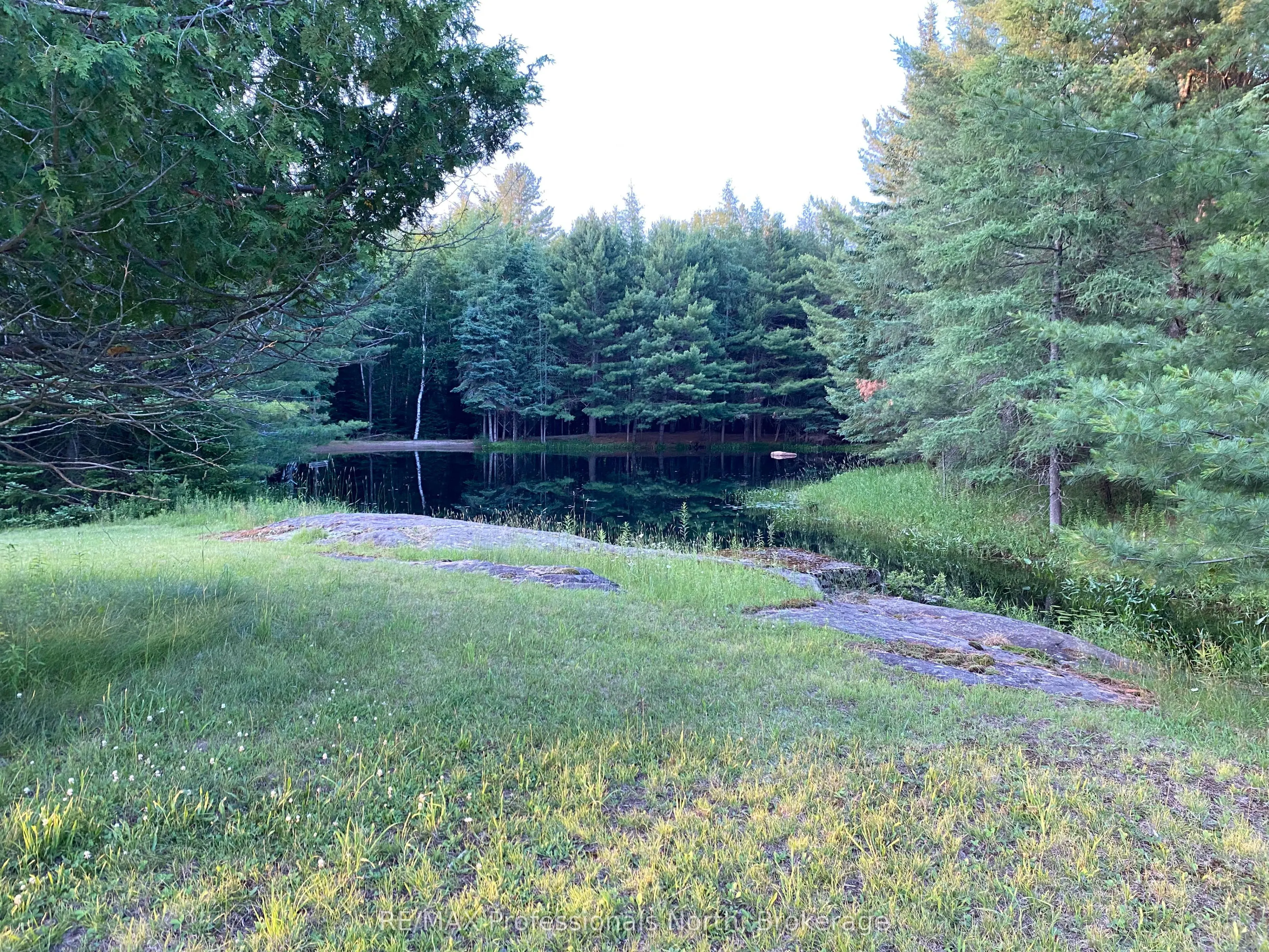 204 MINERAL SPRINGS Road