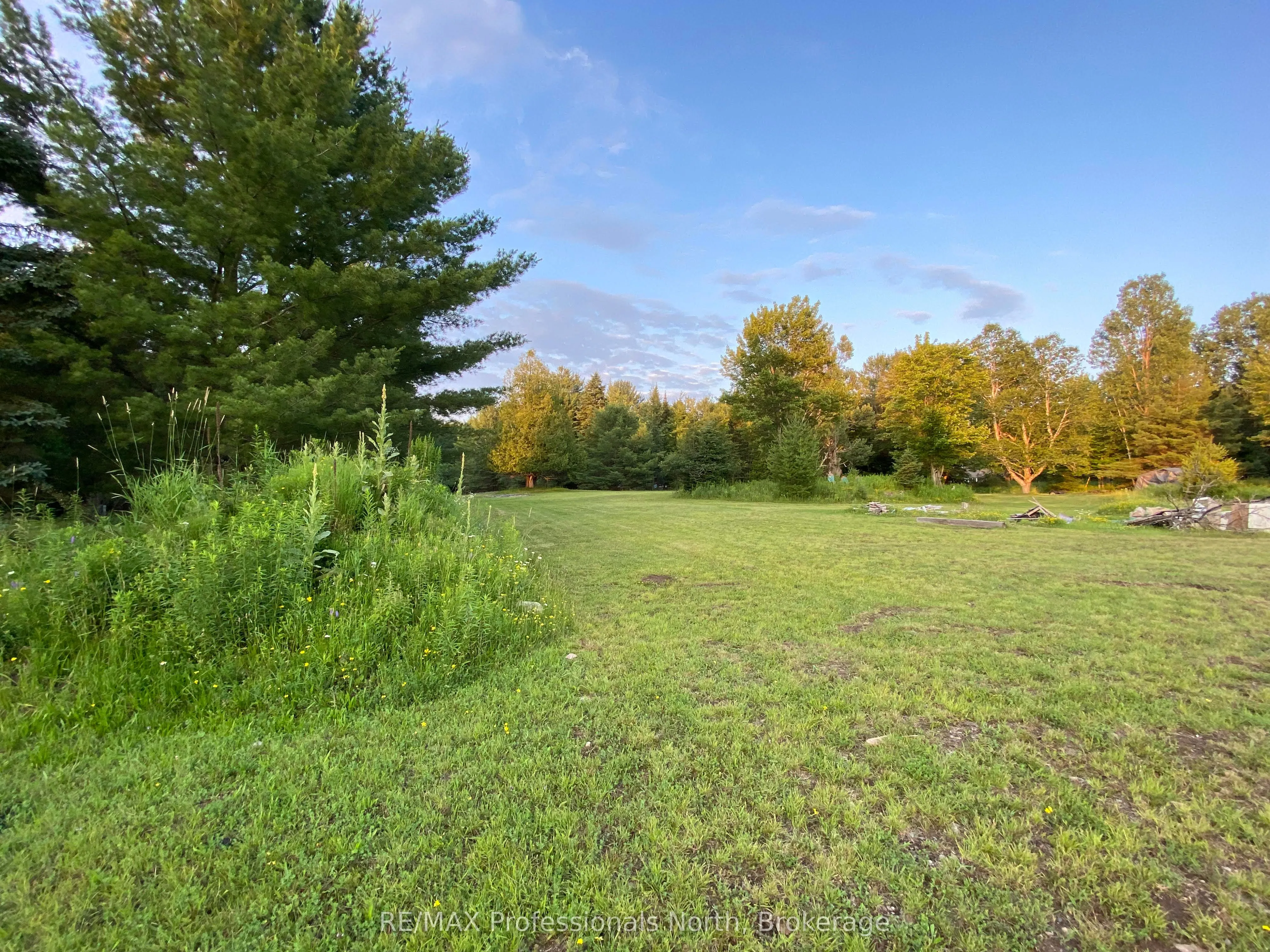 204 MINERAL SPRINGS Road