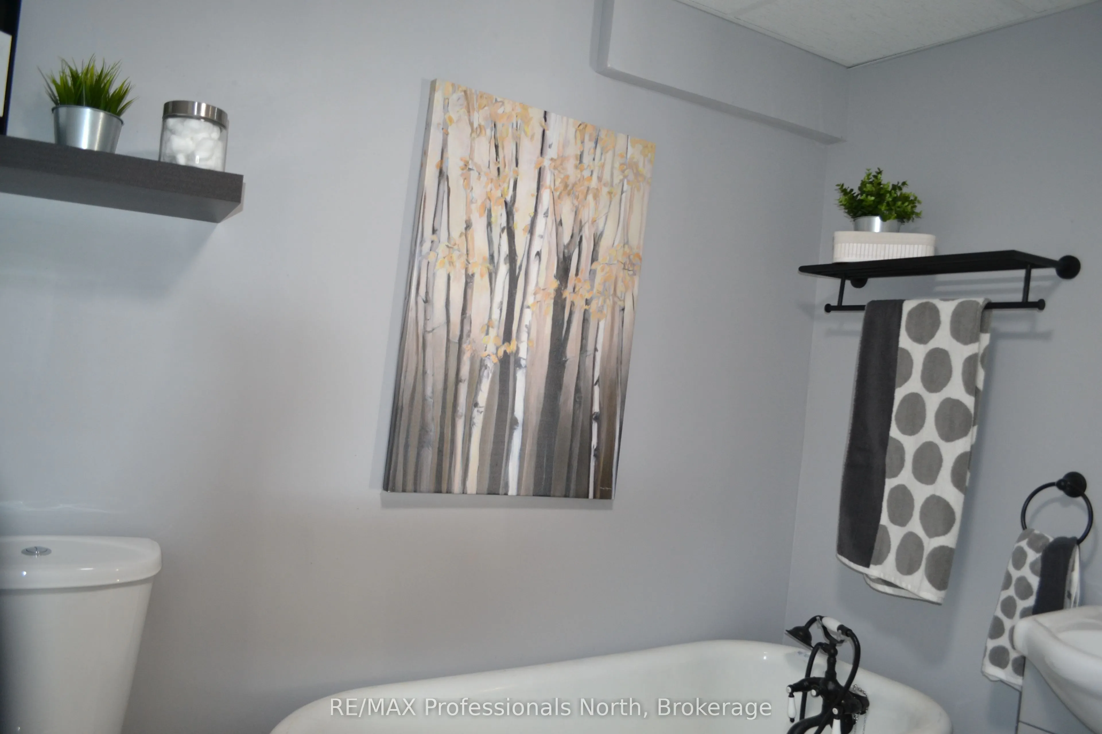 204 MINERAL SPRINGS Road