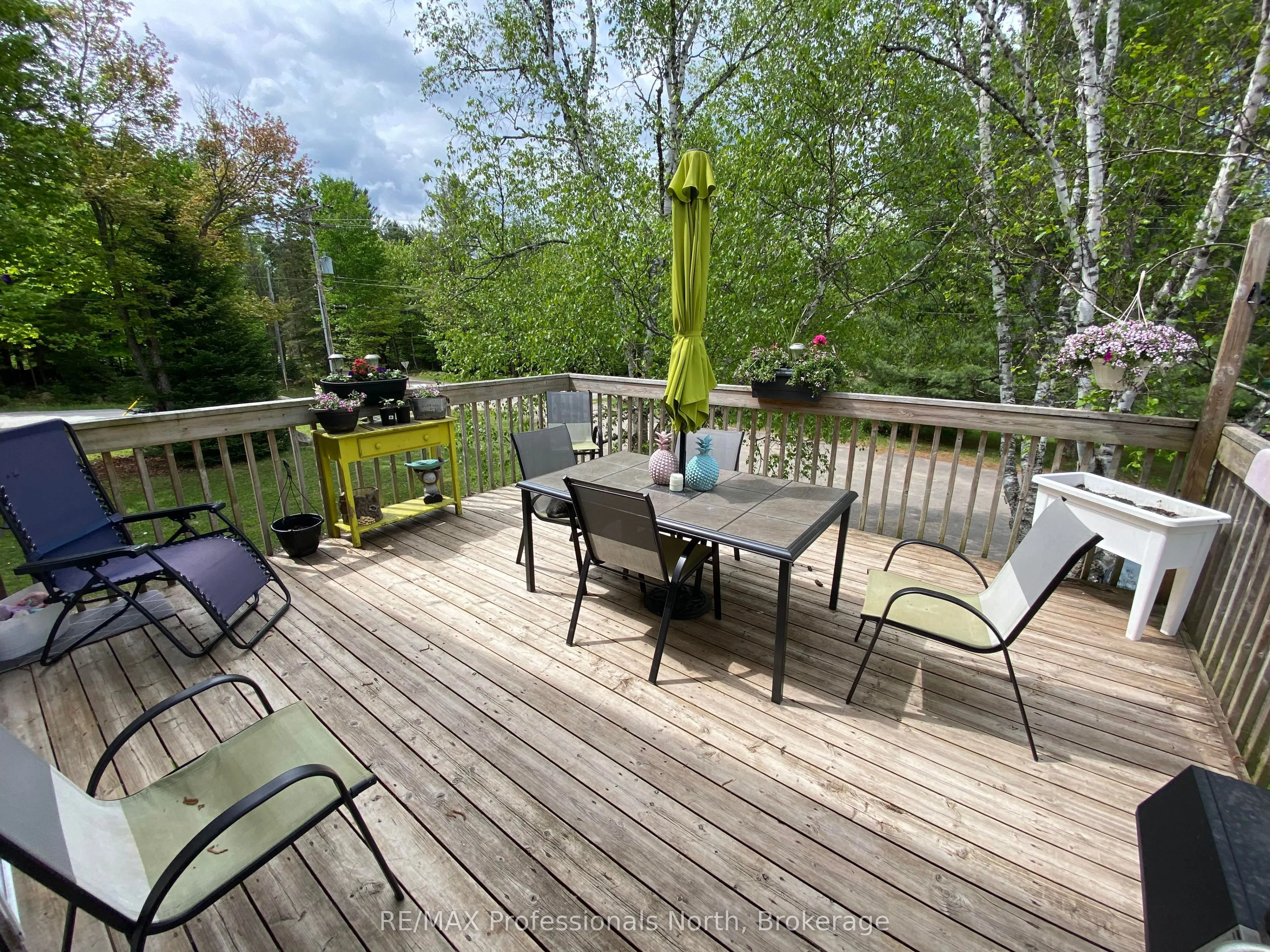 204 MINERAL SPRINGS Road