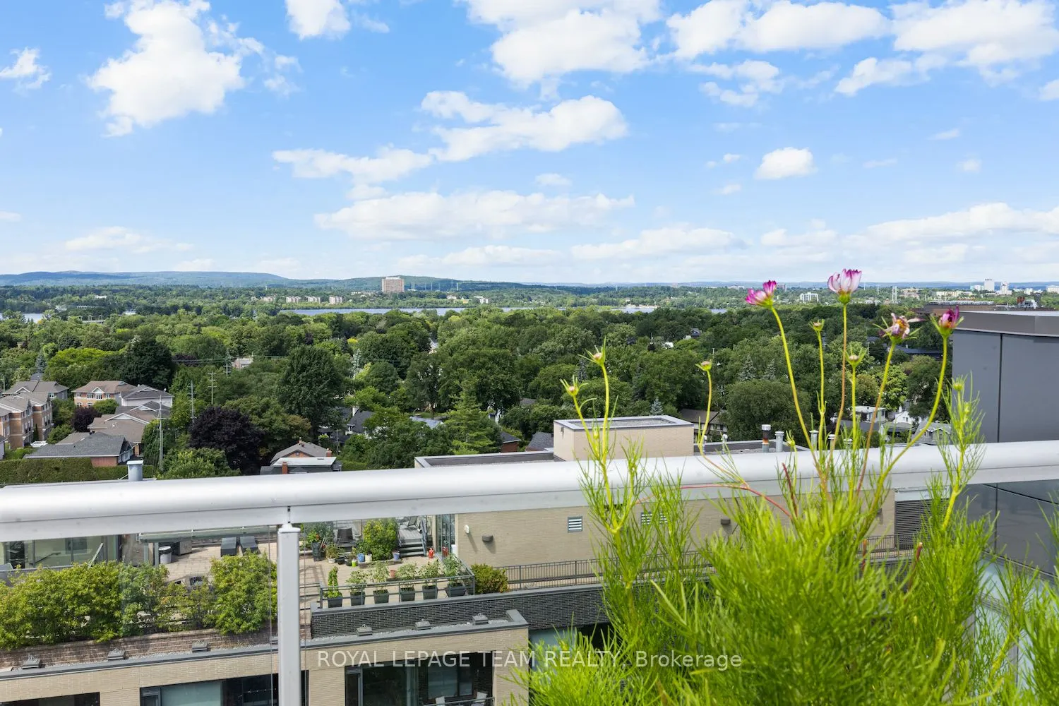 108 Richmond Road, #502