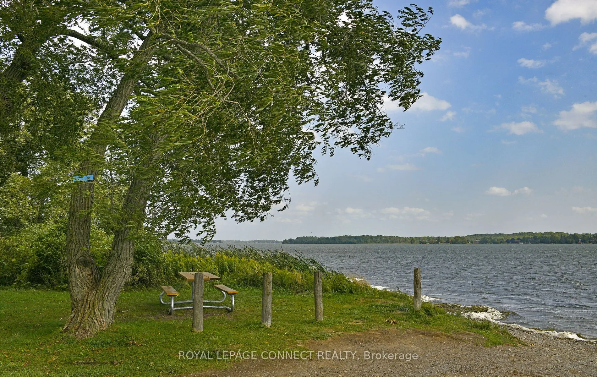 113 Pleasant Point Road