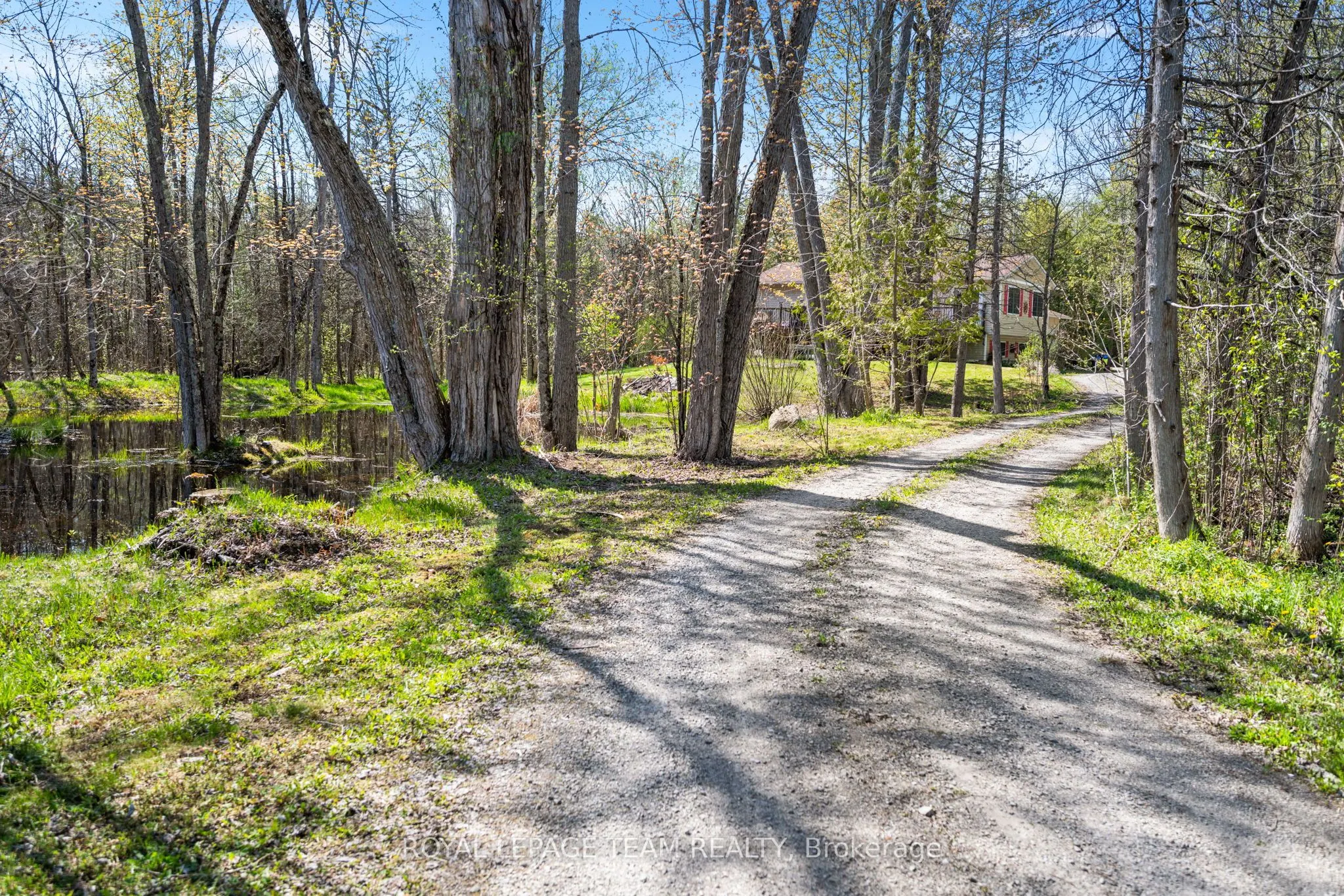165 Cuckoos Nest Road