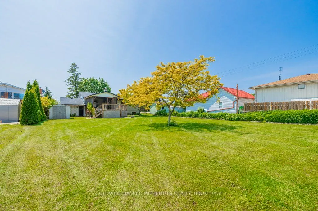 82 McDonald Avenue