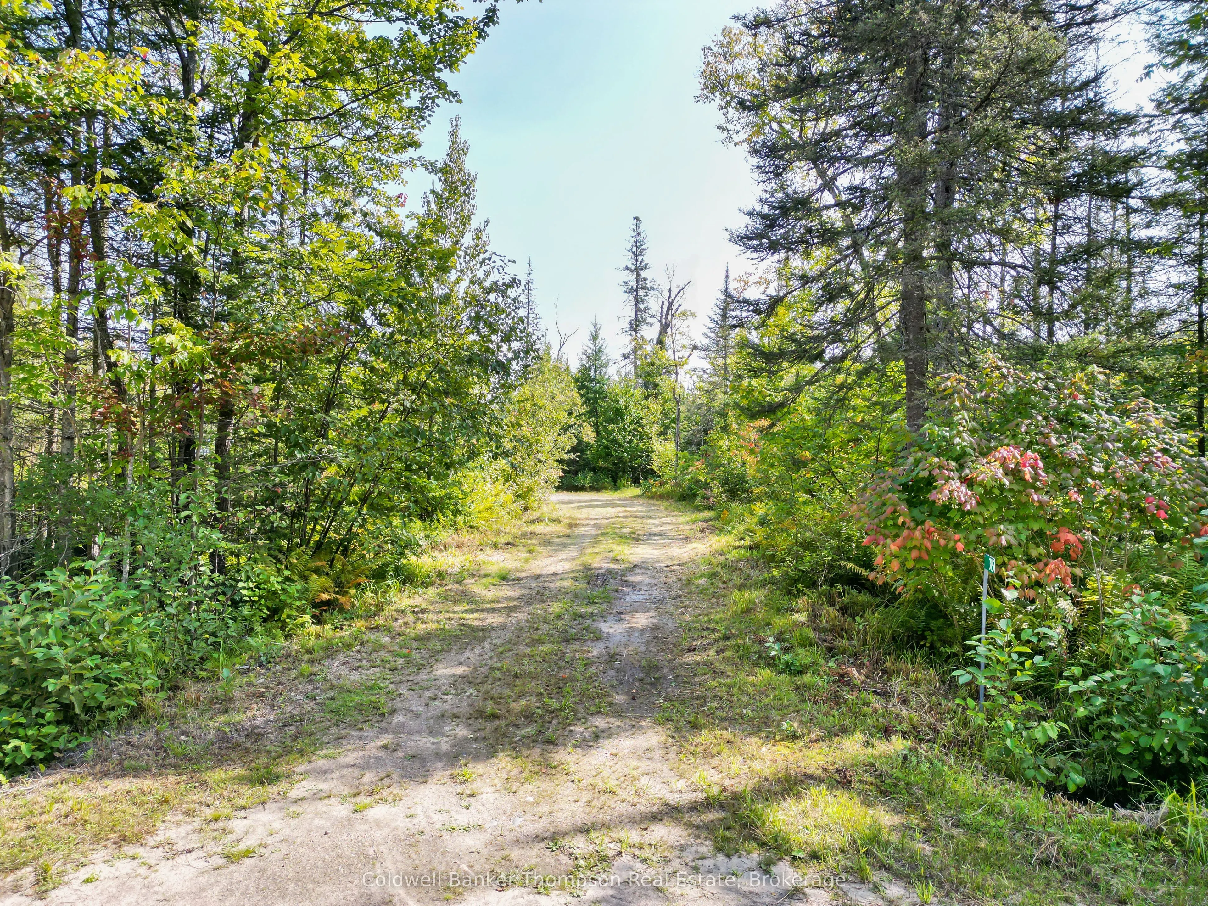 315 Scarlett Road
