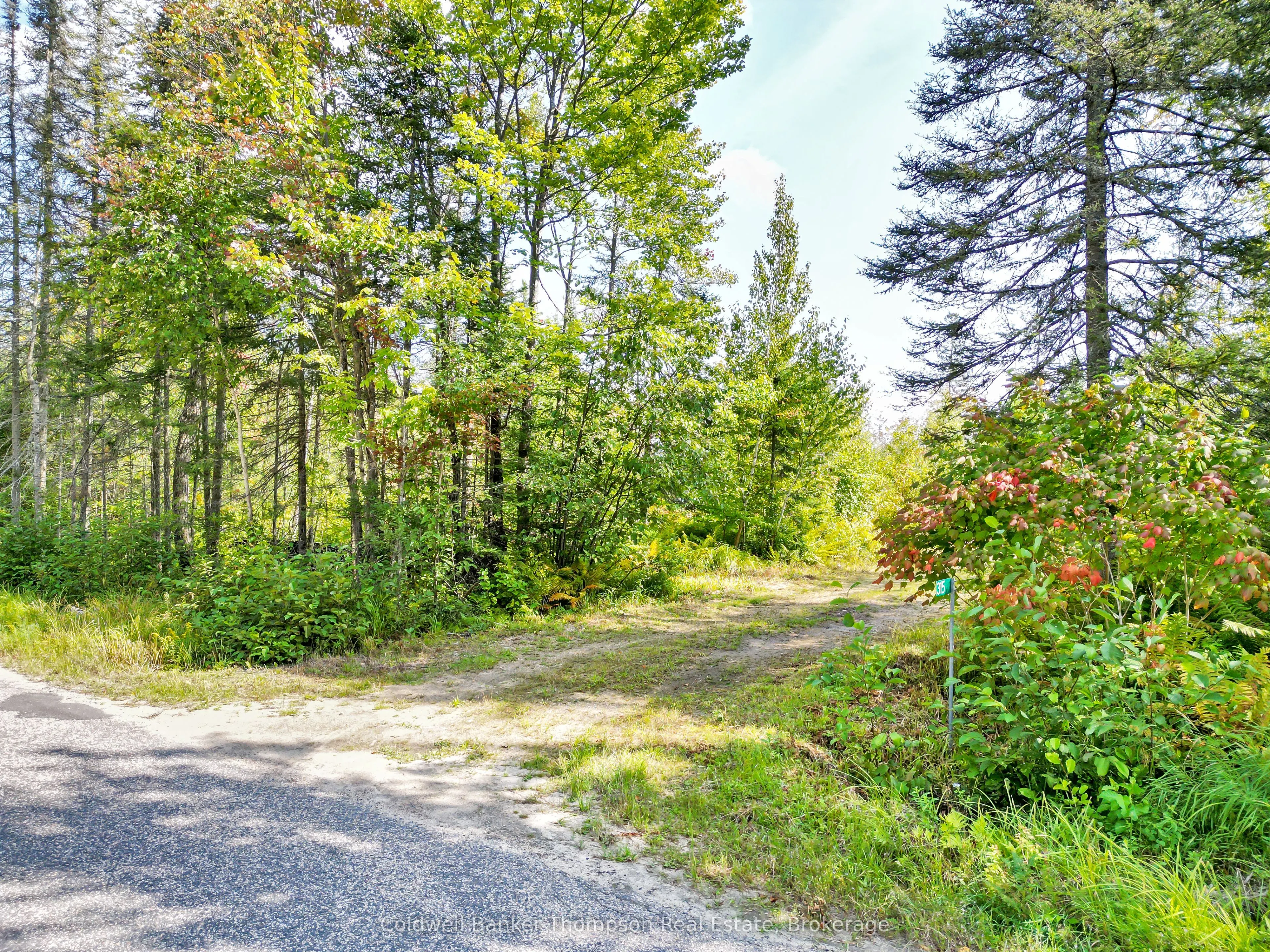 315 Scarlett Road
