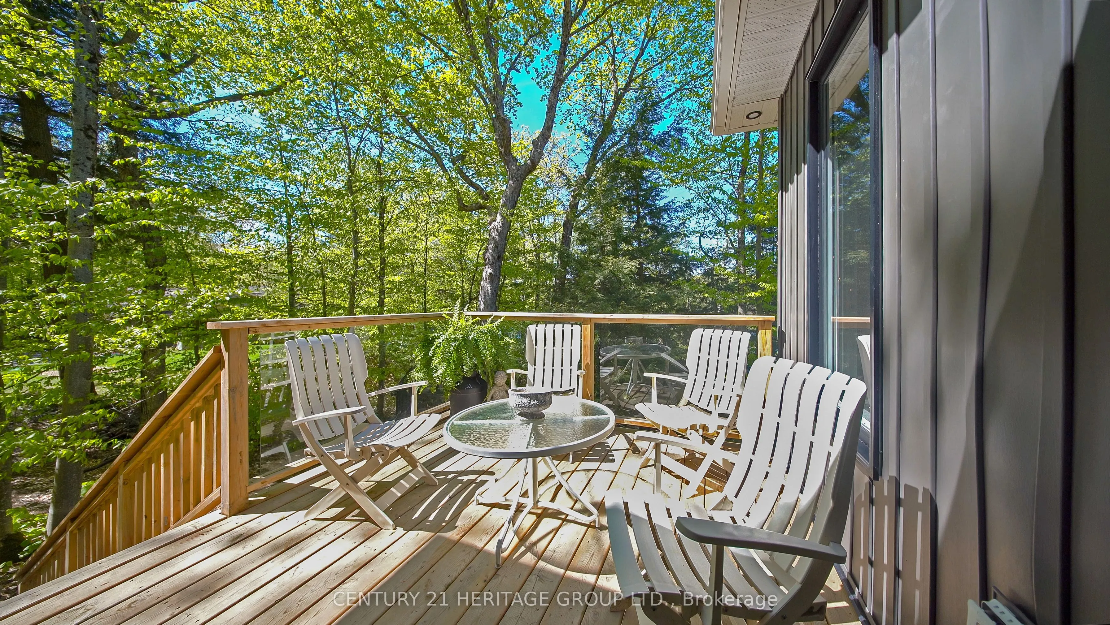 46 Goddard Crescent