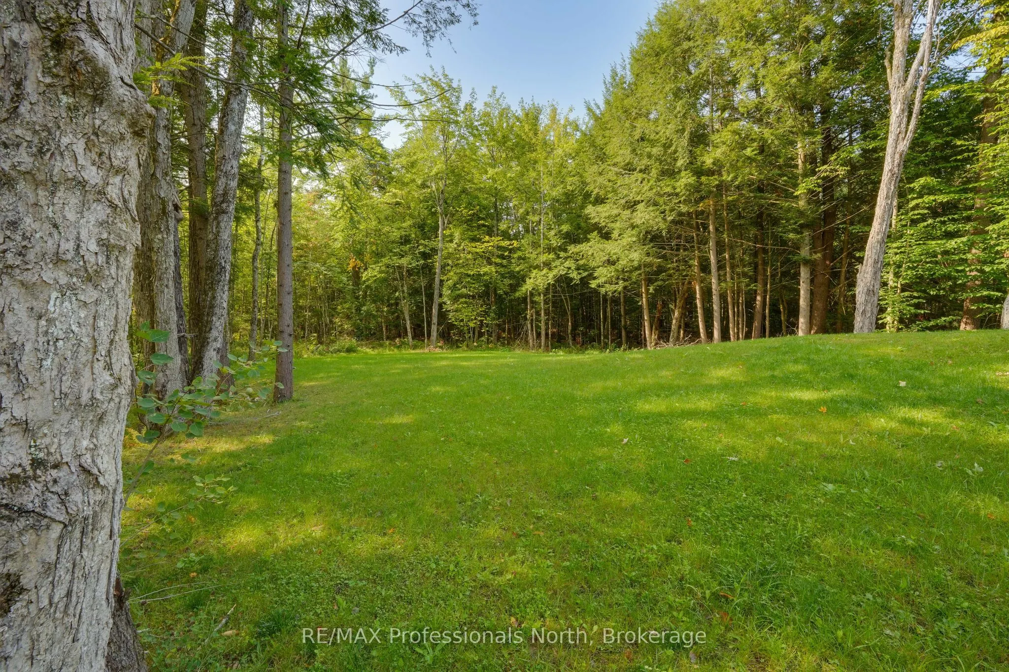 1087 Hawn Road
