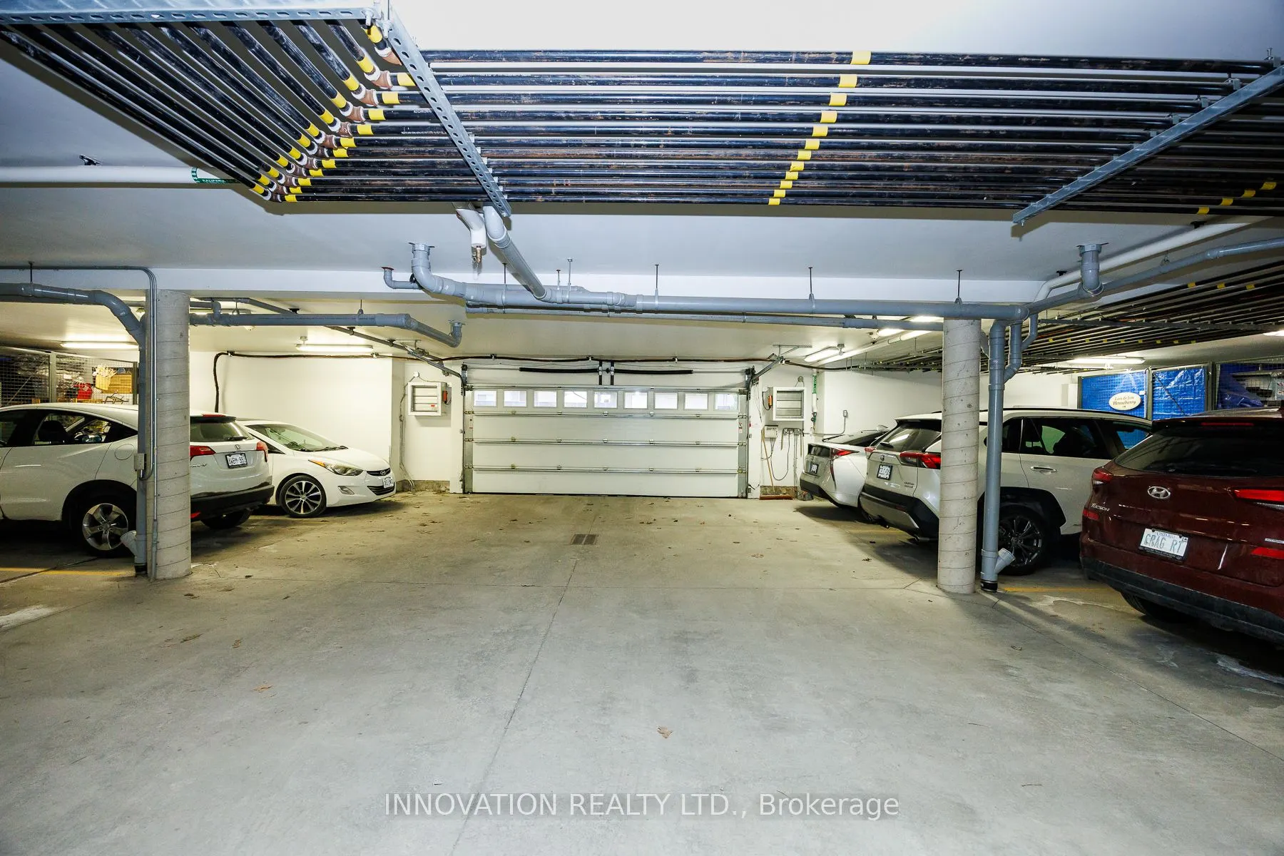 320 Jatoba, #103