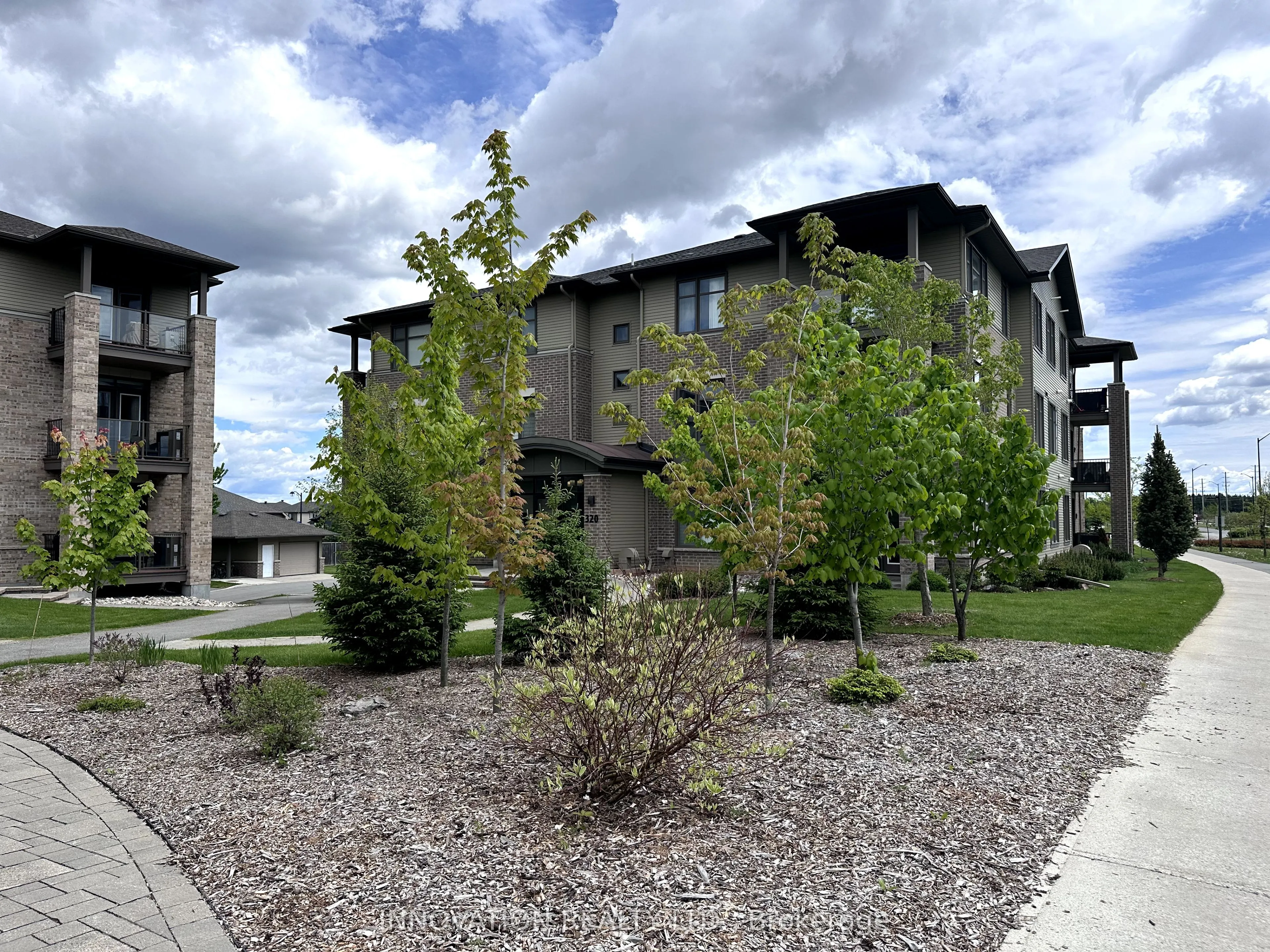 320 Jatoba, #103