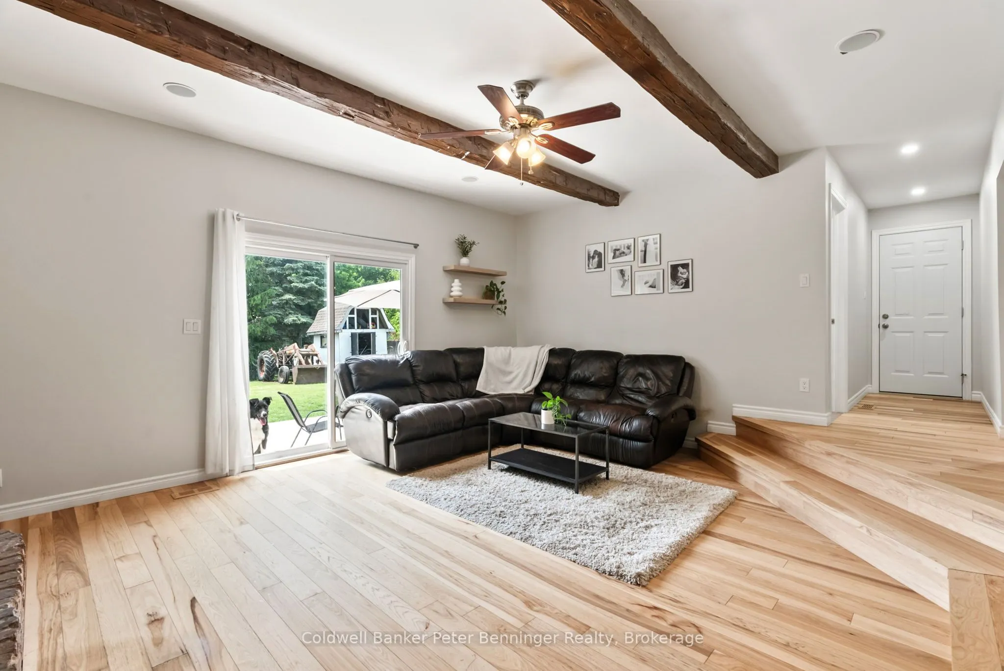 12 Peter Street S