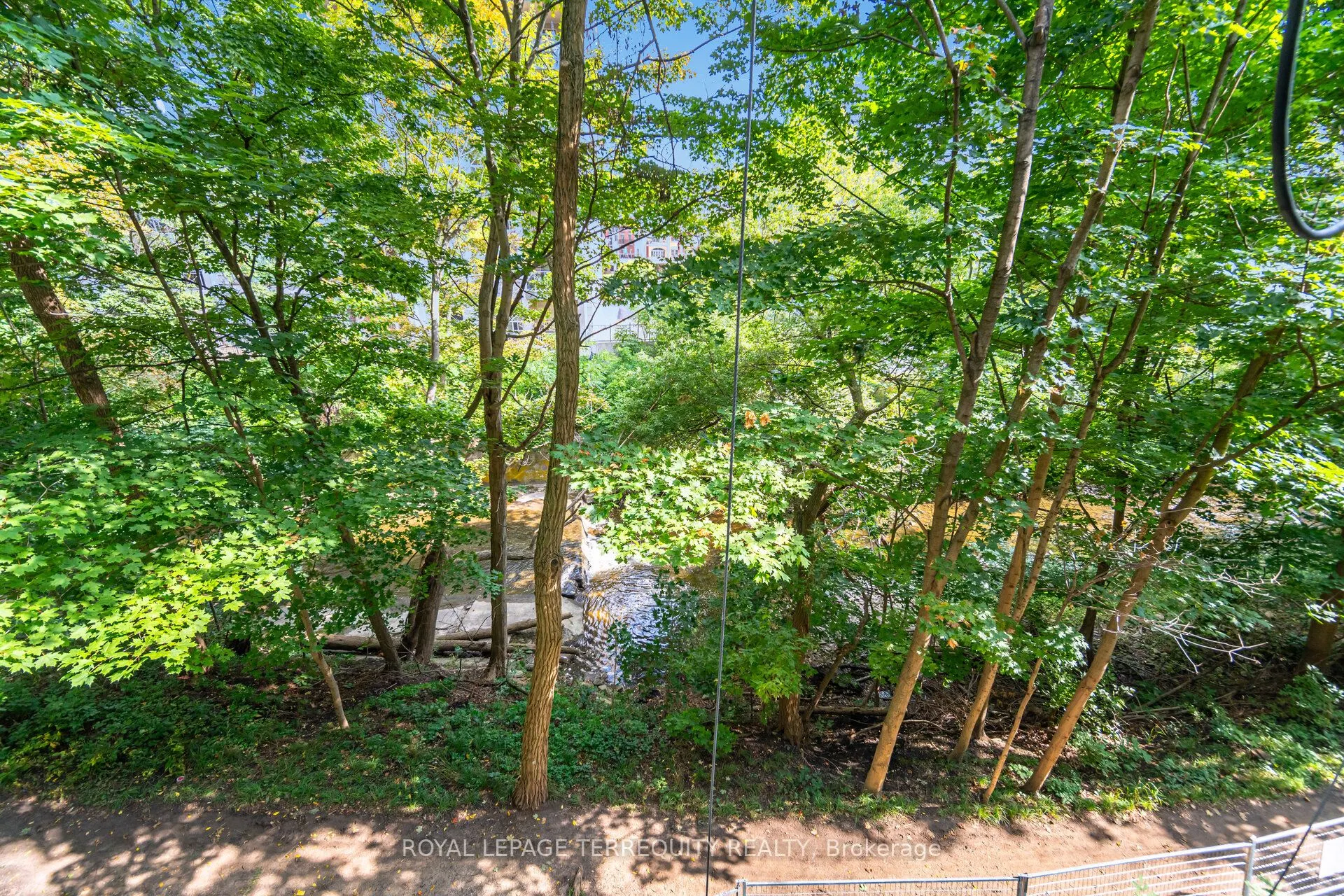 77 GOVERNORS Road, #204