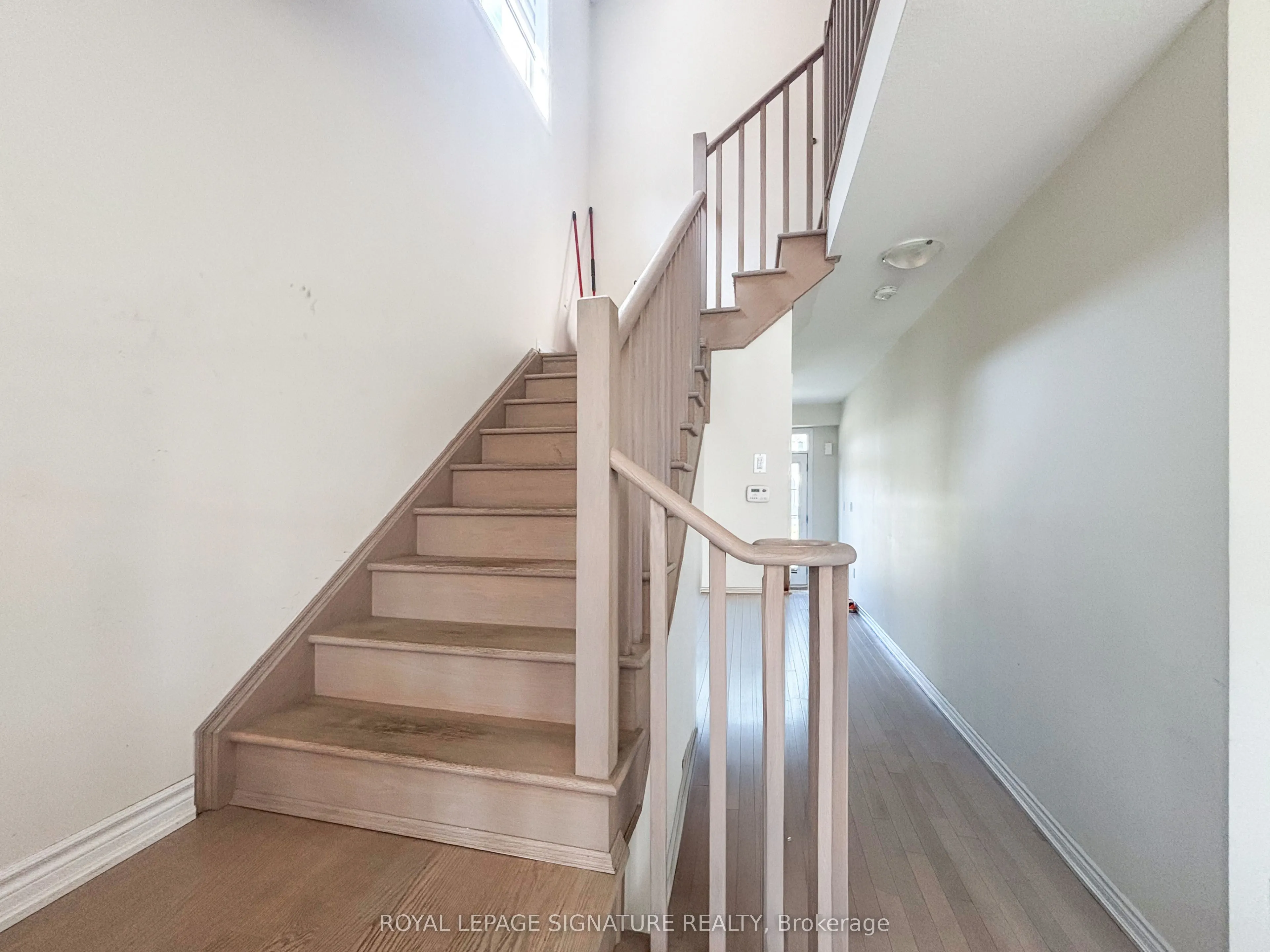 361 Vanilla Trail