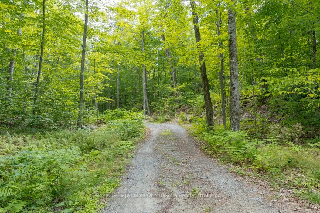 16 Long and Winding Road