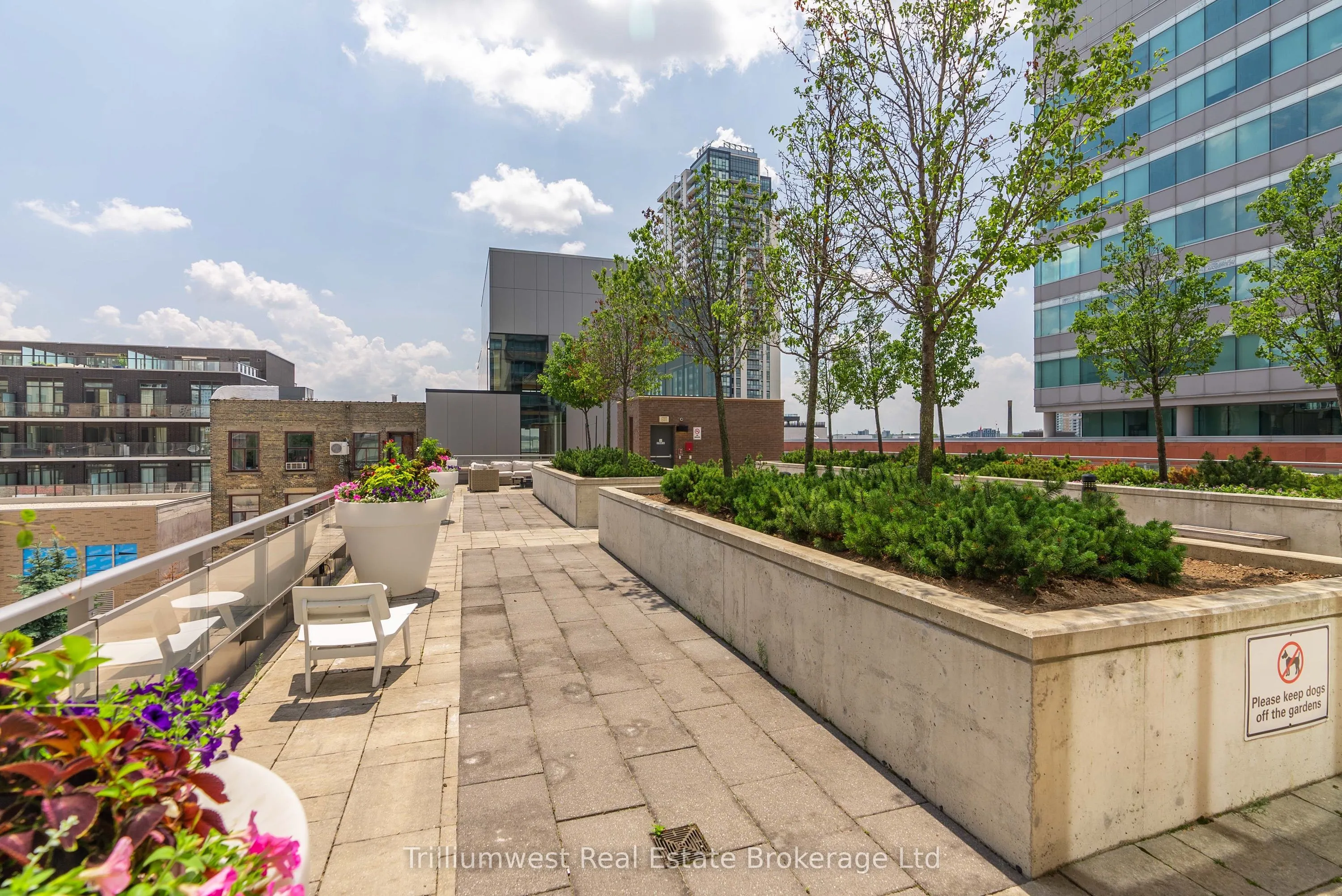 85 Duke Street W, #209