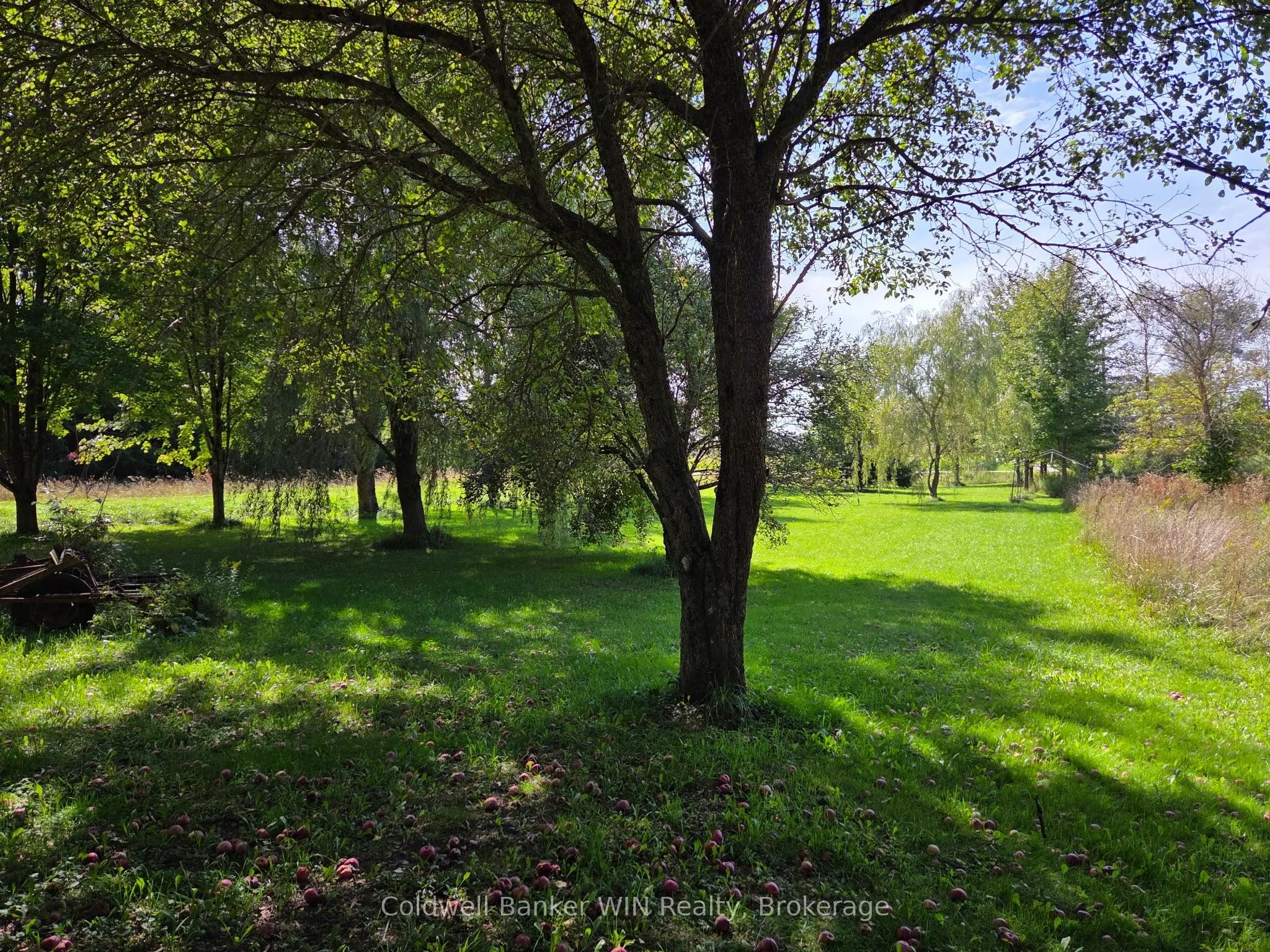 9029 Concession 11