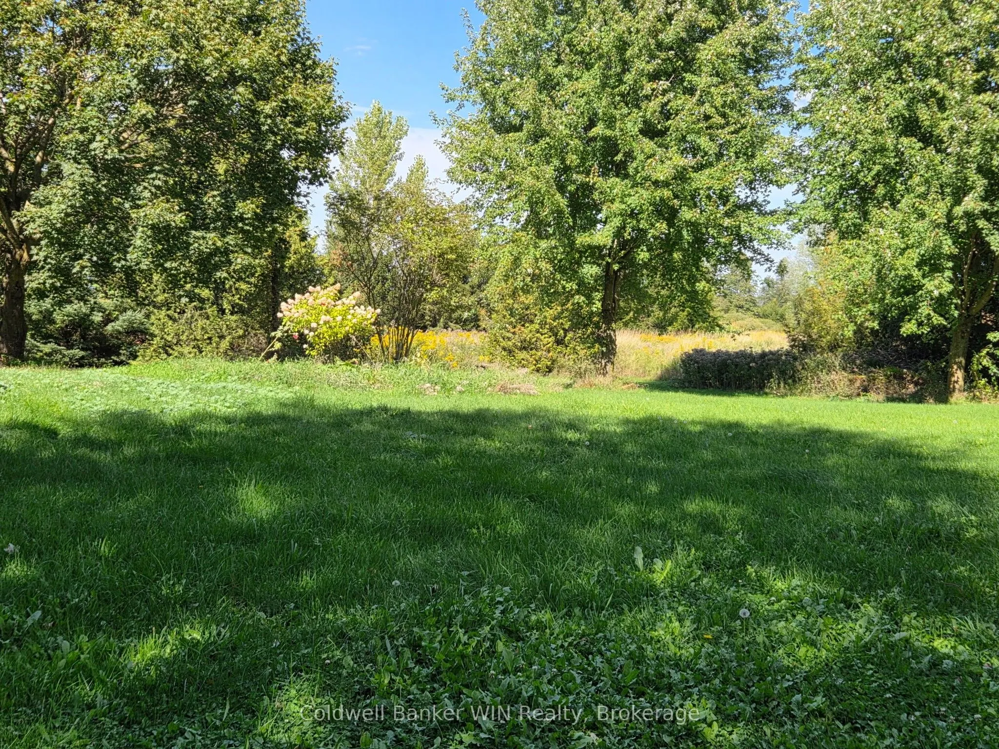 9029 Concession 11
