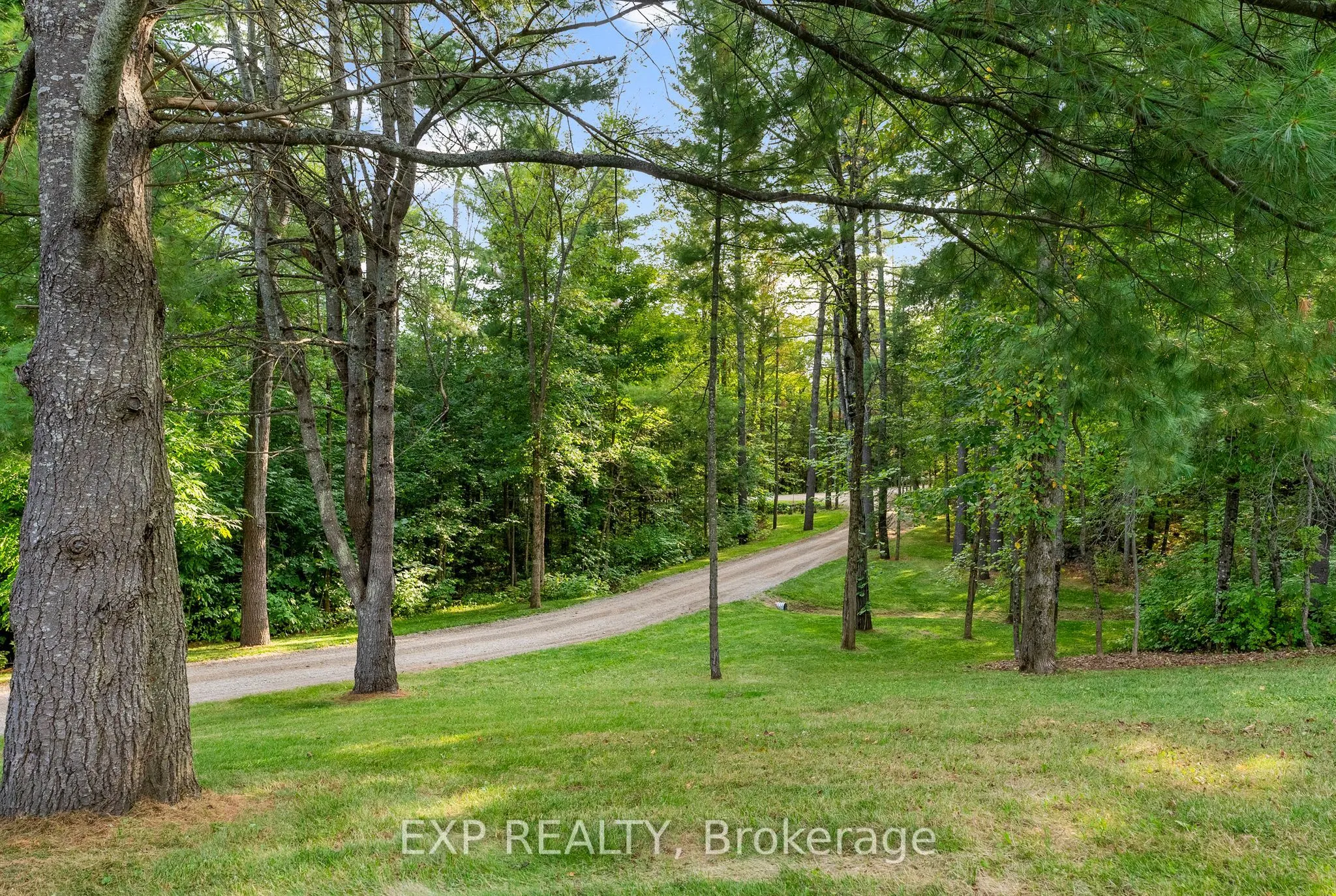 12 Riopelle Road