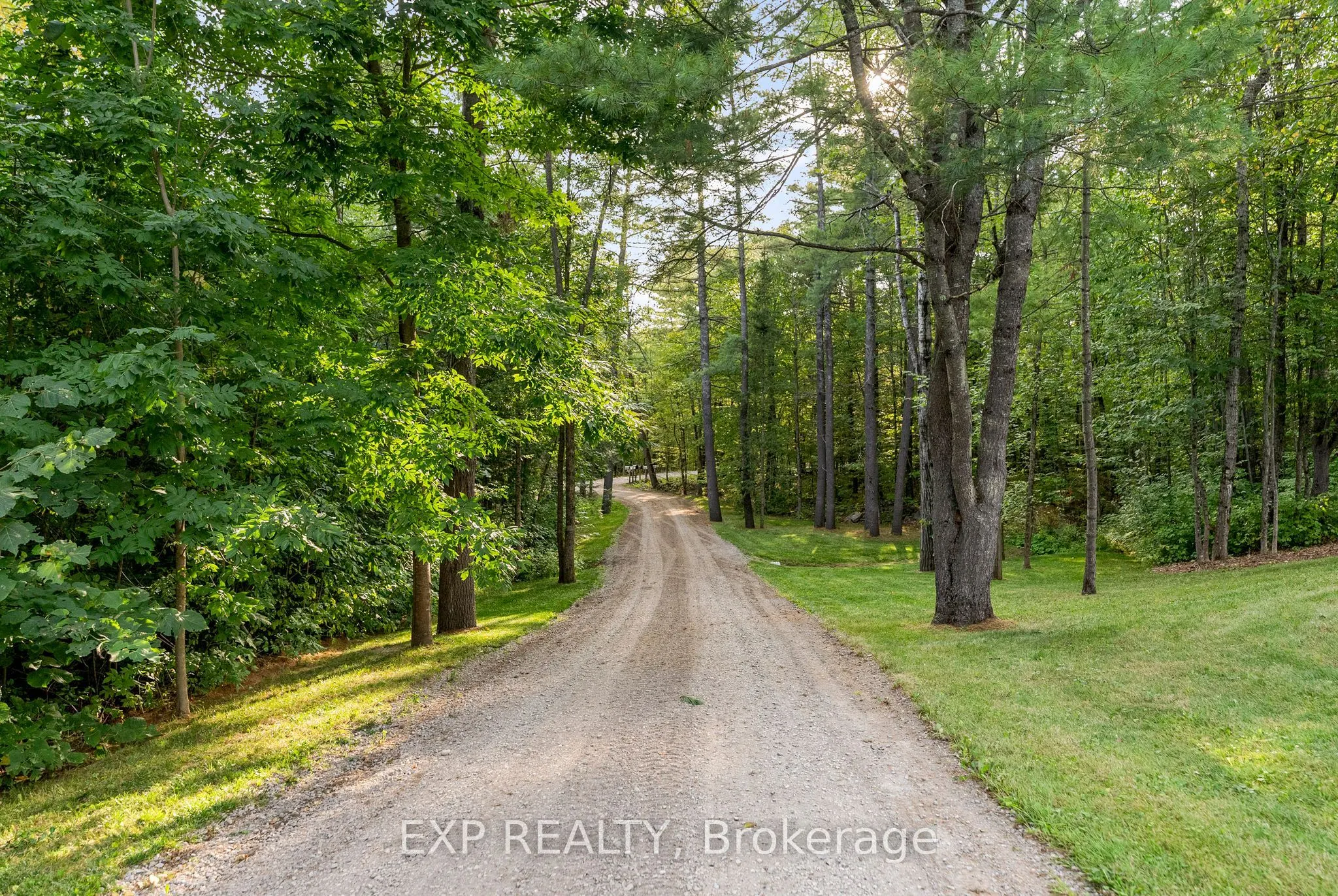 12 Riopelle Road