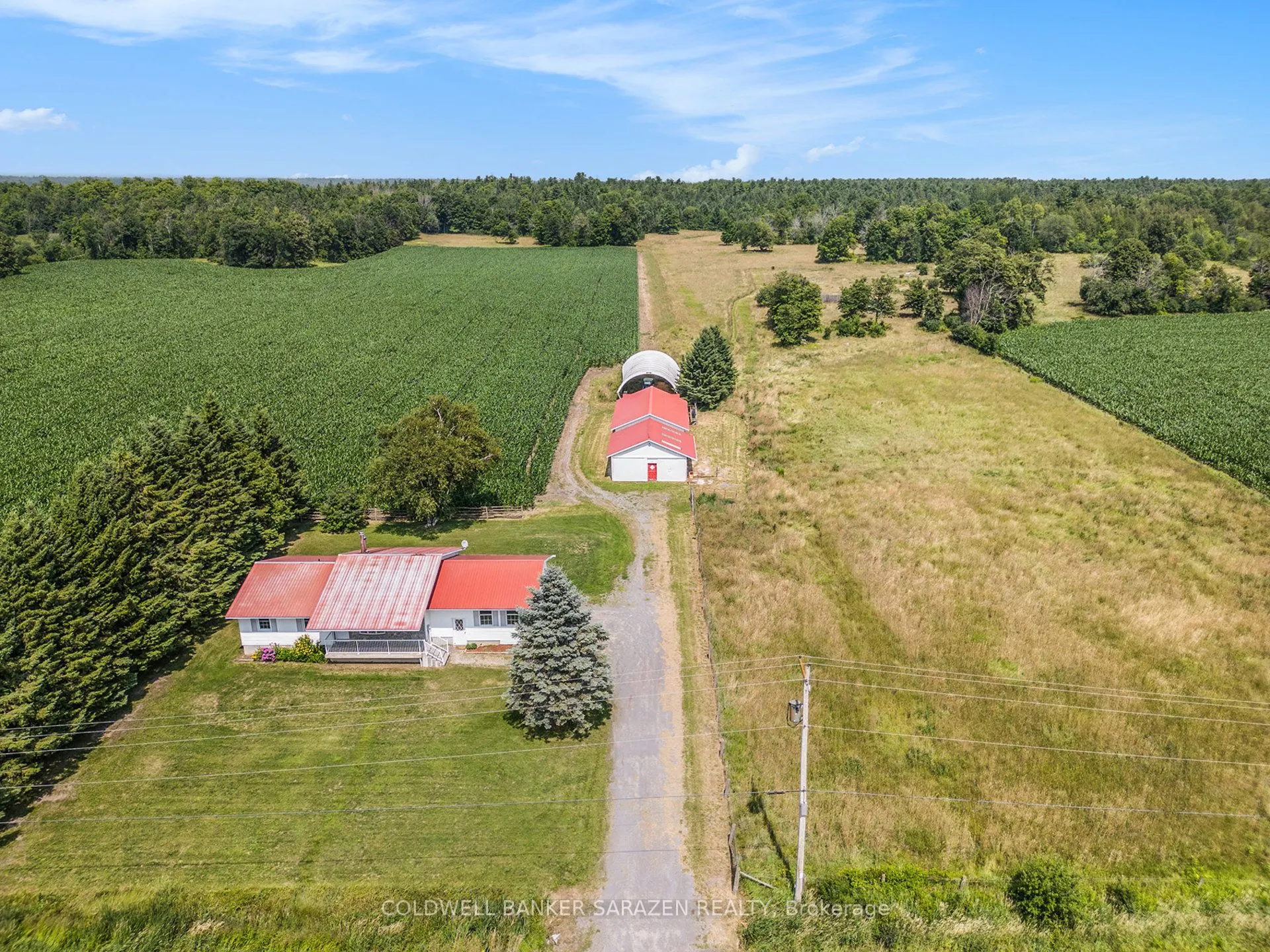 402 Scheel Drive