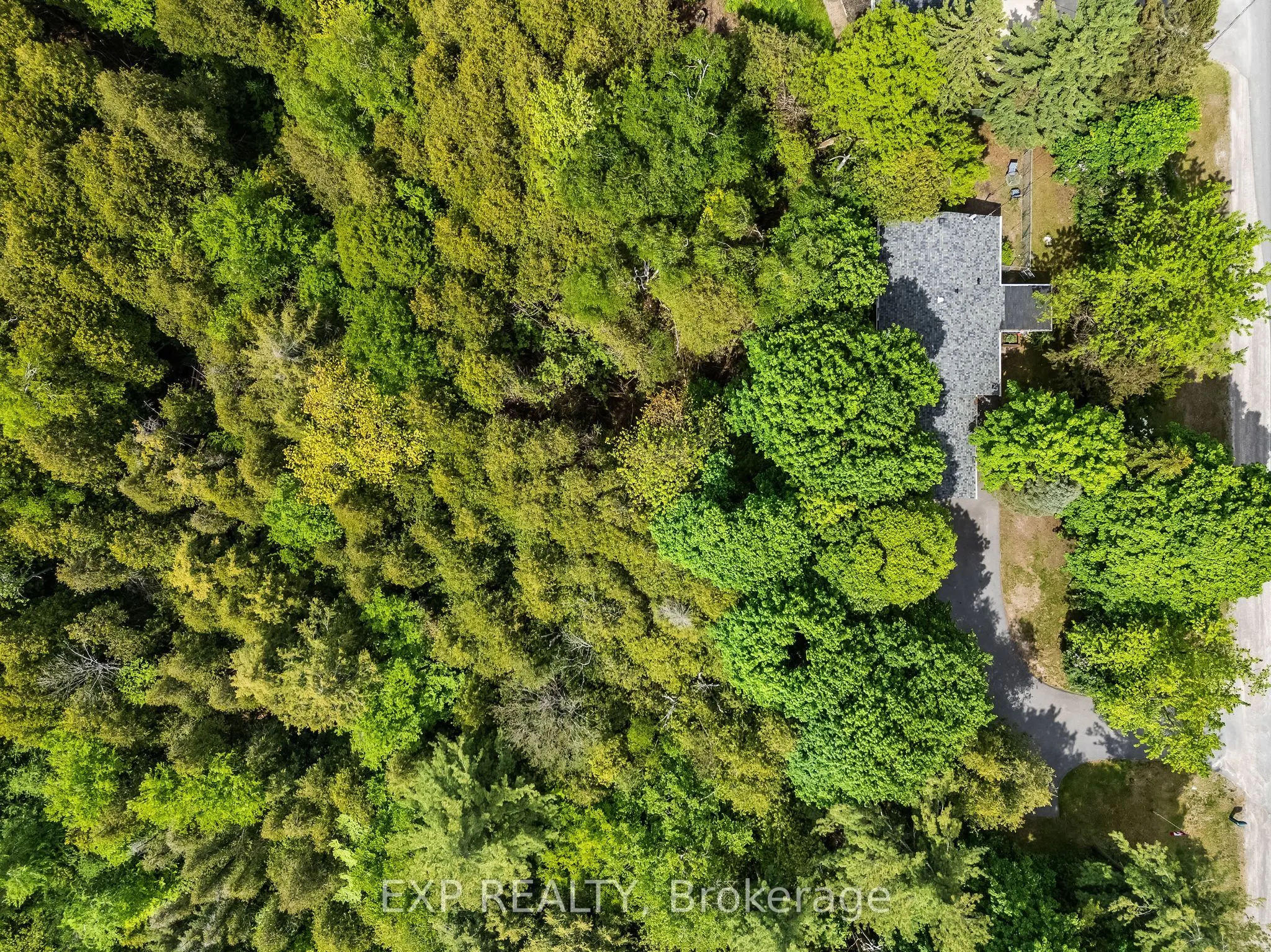 4558 County Road 45