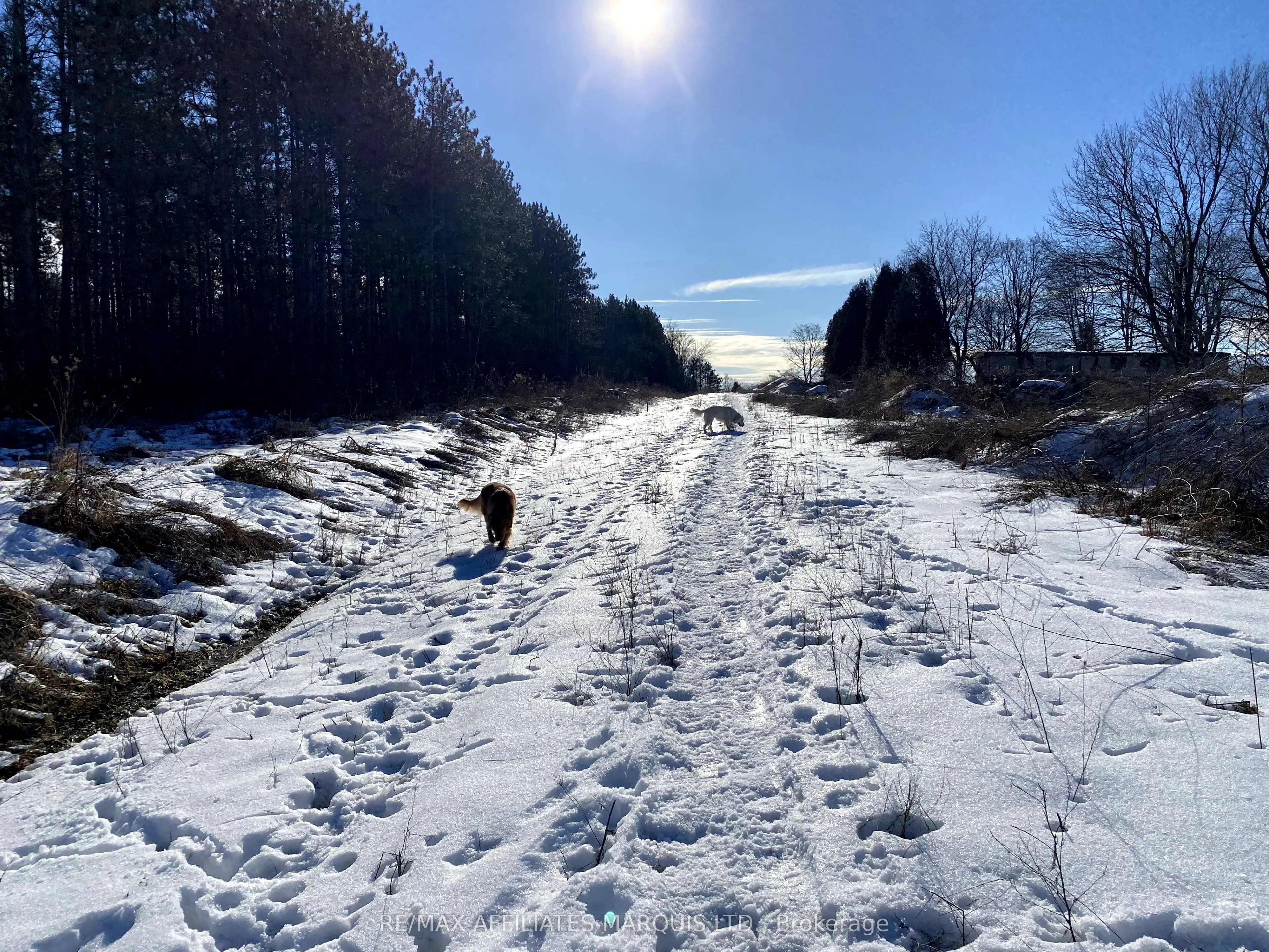 LOT Sapphire Drive N