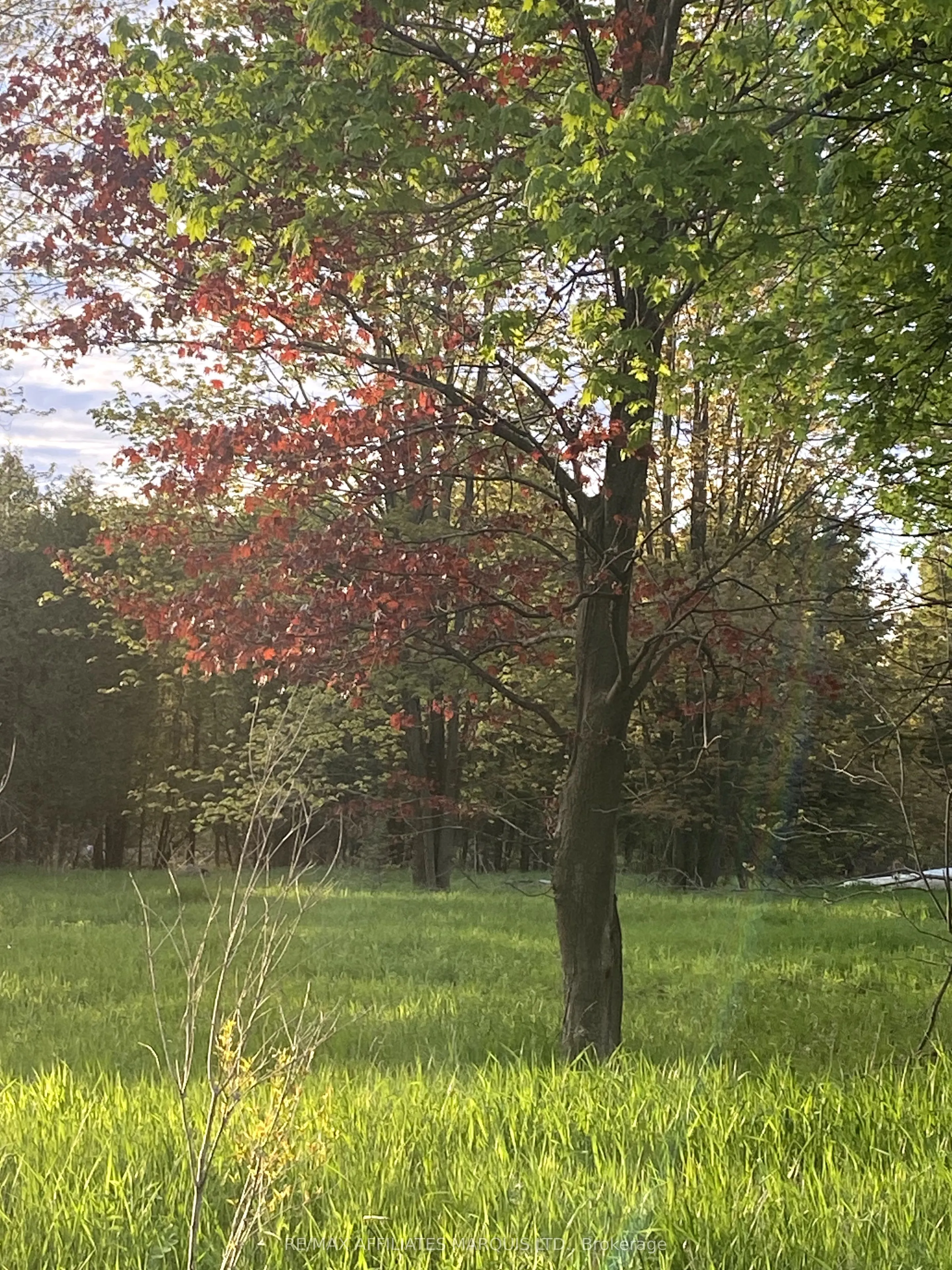 LOT Sapphire Drive N