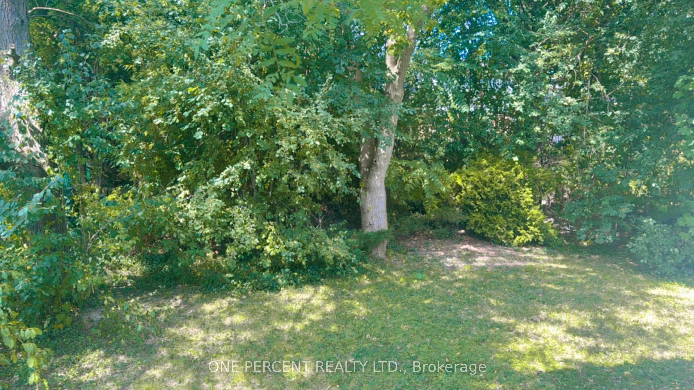 131 Paperbirch Crescent