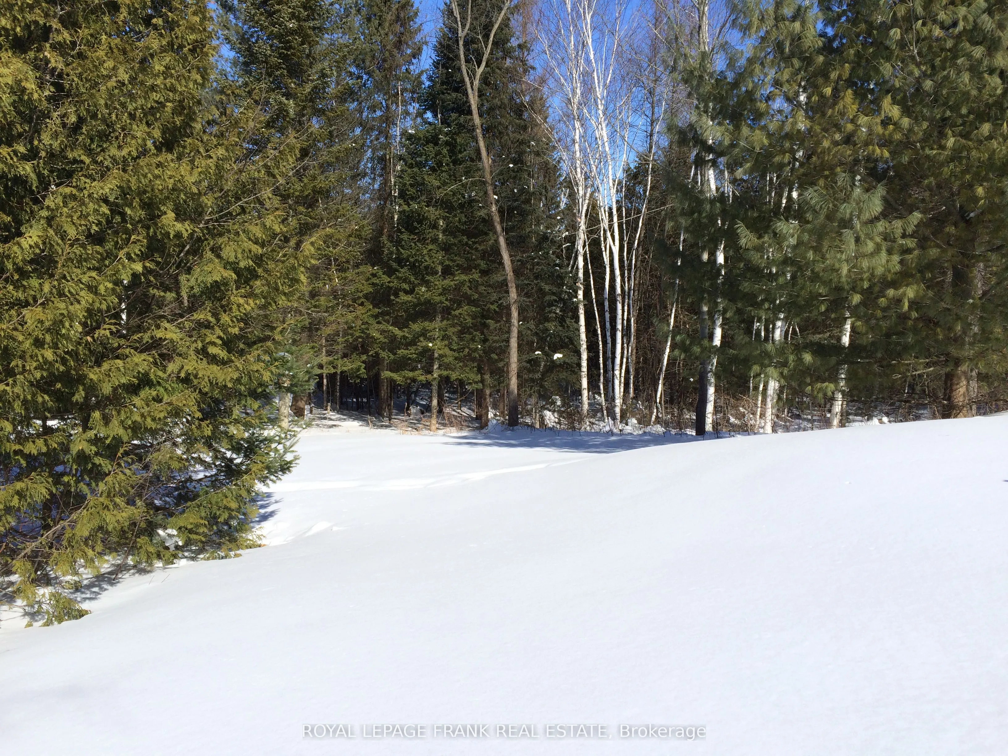 58 Stone Road