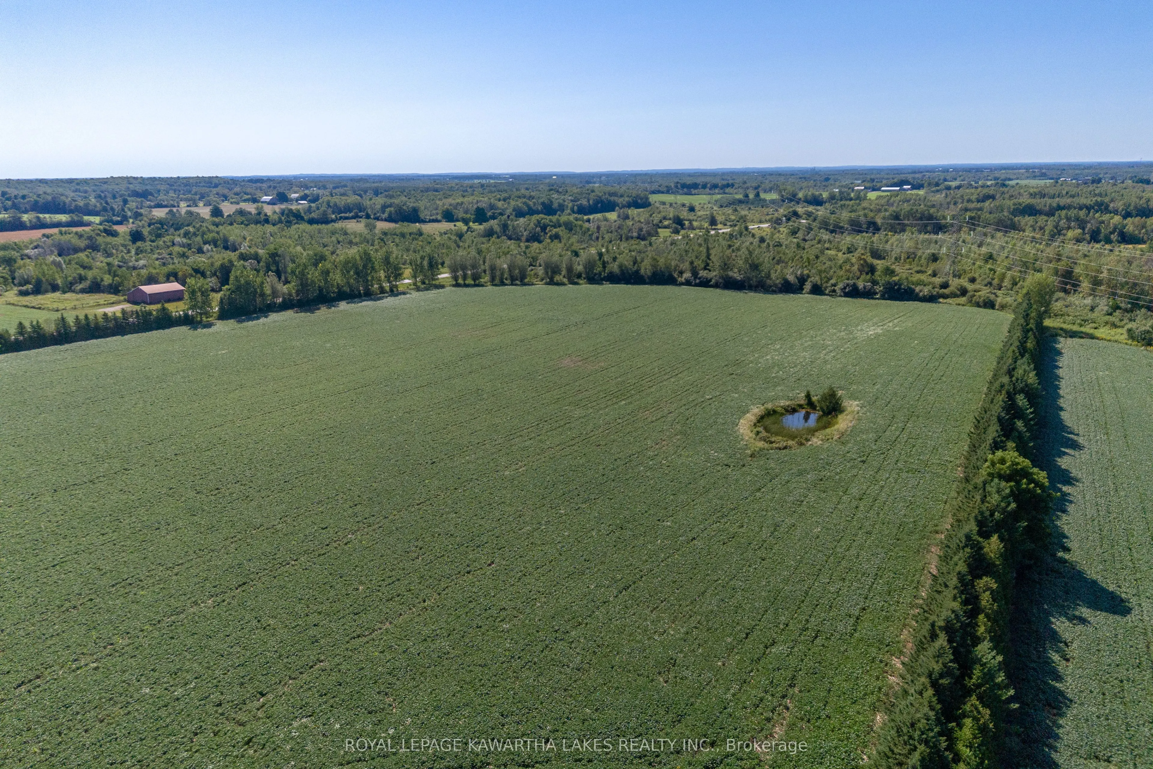 890 Woodville Road