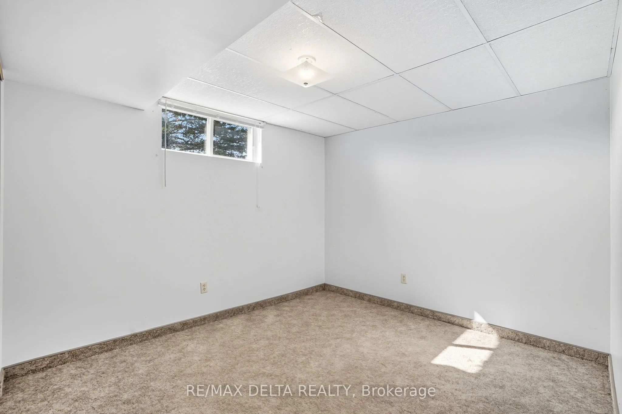 4254 Conc 20 Concession
