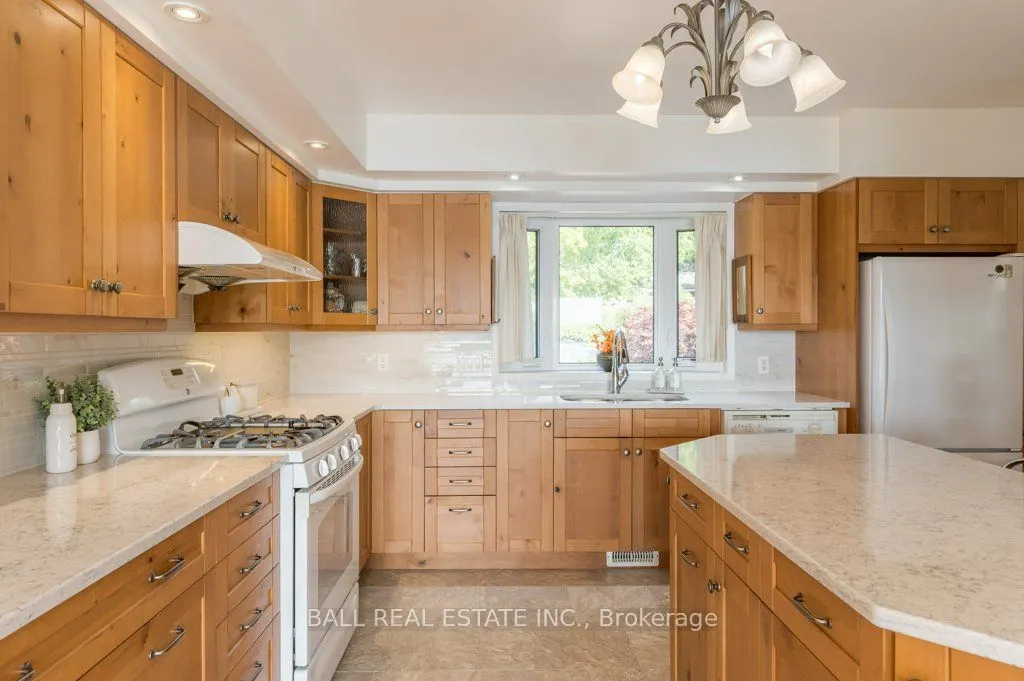 919 Skyline Road