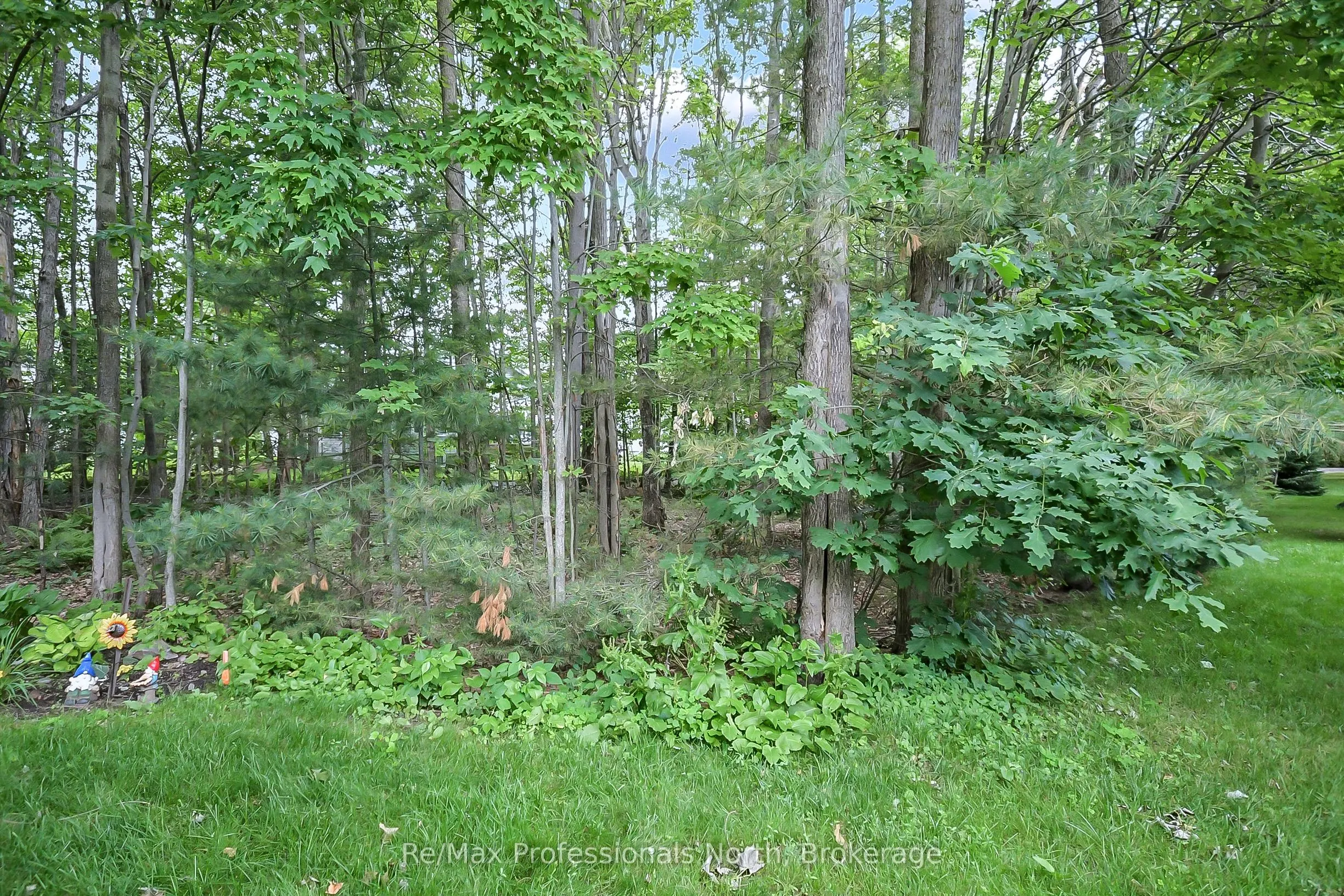 136 Hedgewood Lane