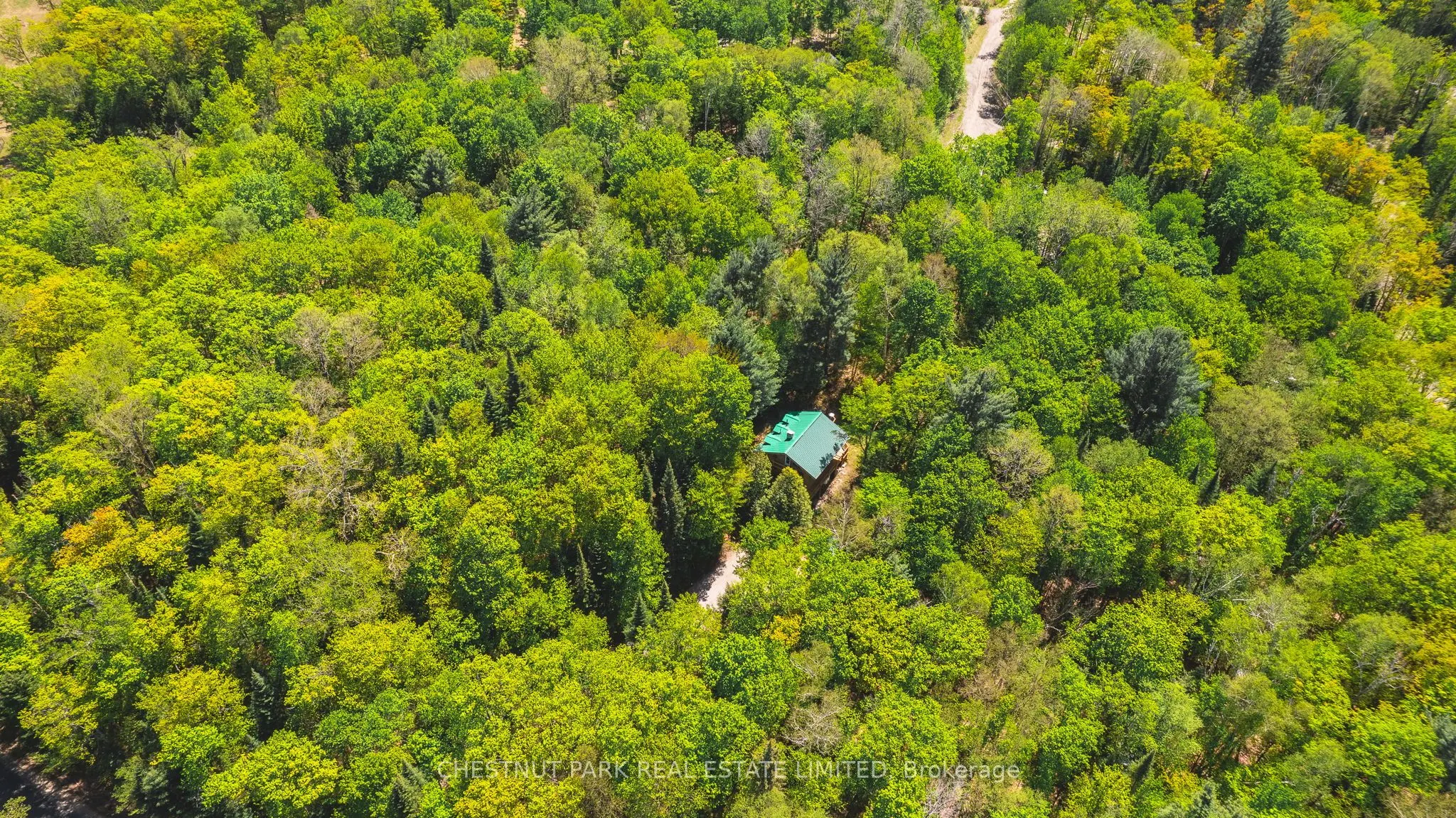 1316 Sir Sam's Road
