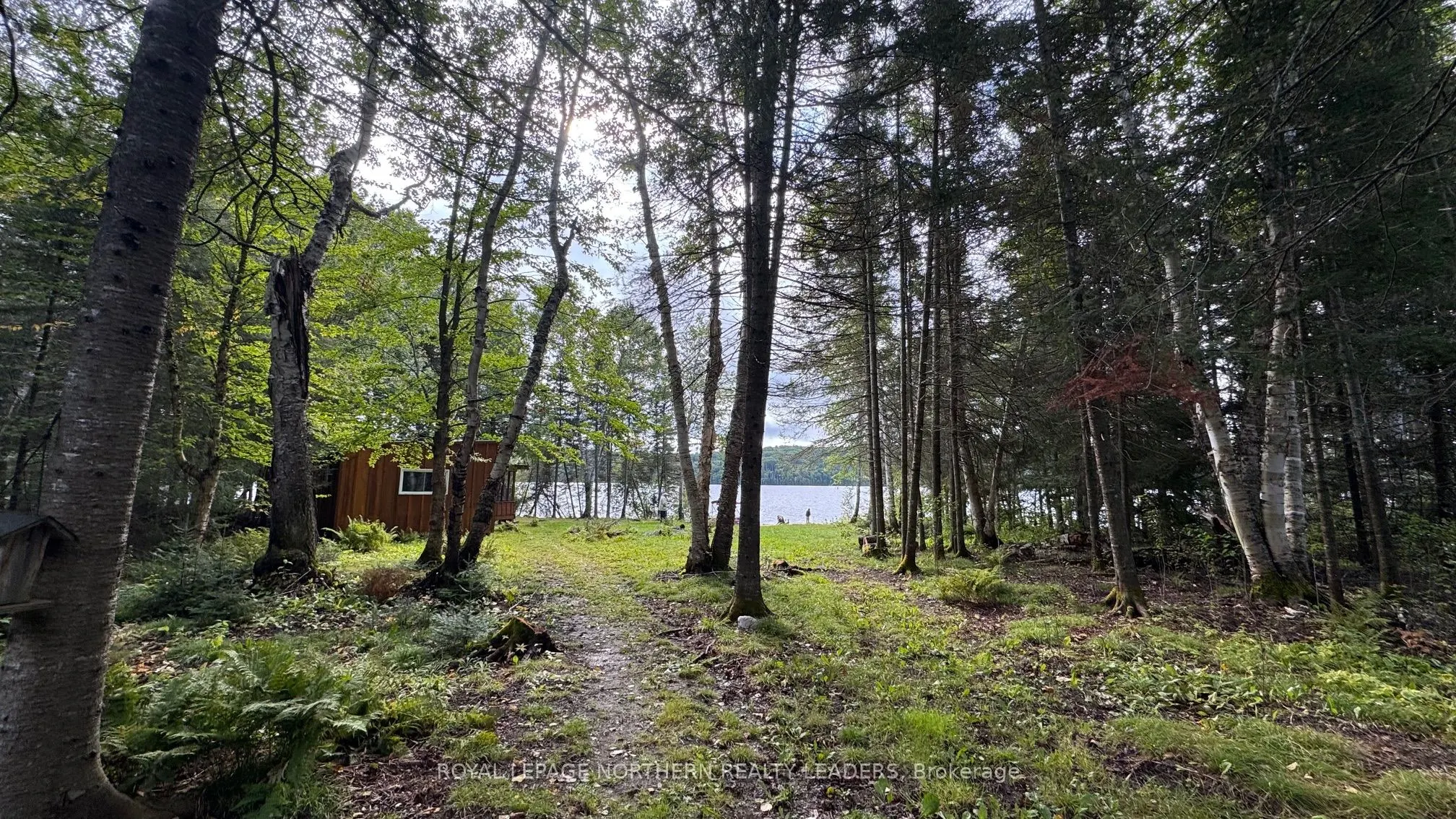 Lot 11 Horwood Lake