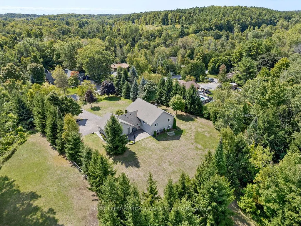 16868 Telephone Road