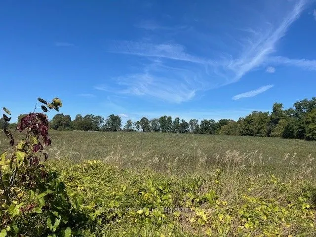 450 Thomasburg Road