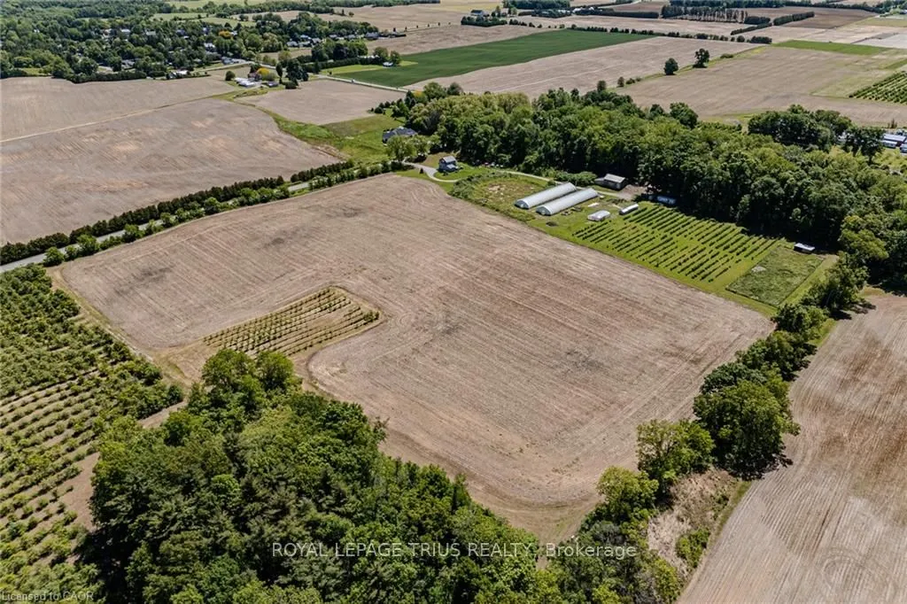 817 Charlotteville East Quarterline Road