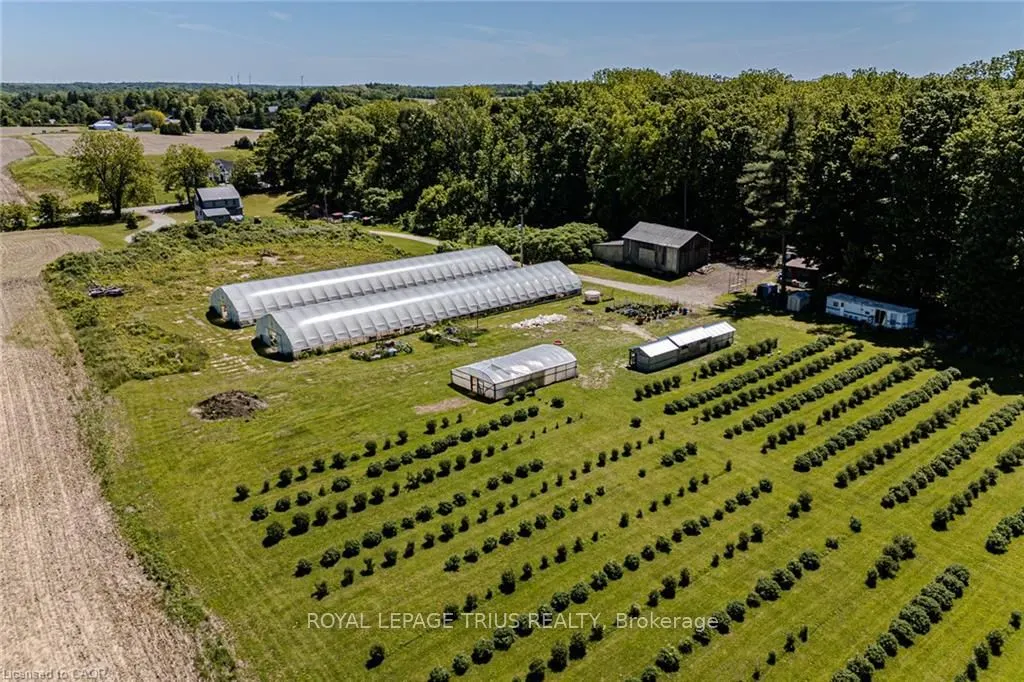 817 Charlotteville East Quarterline Road
