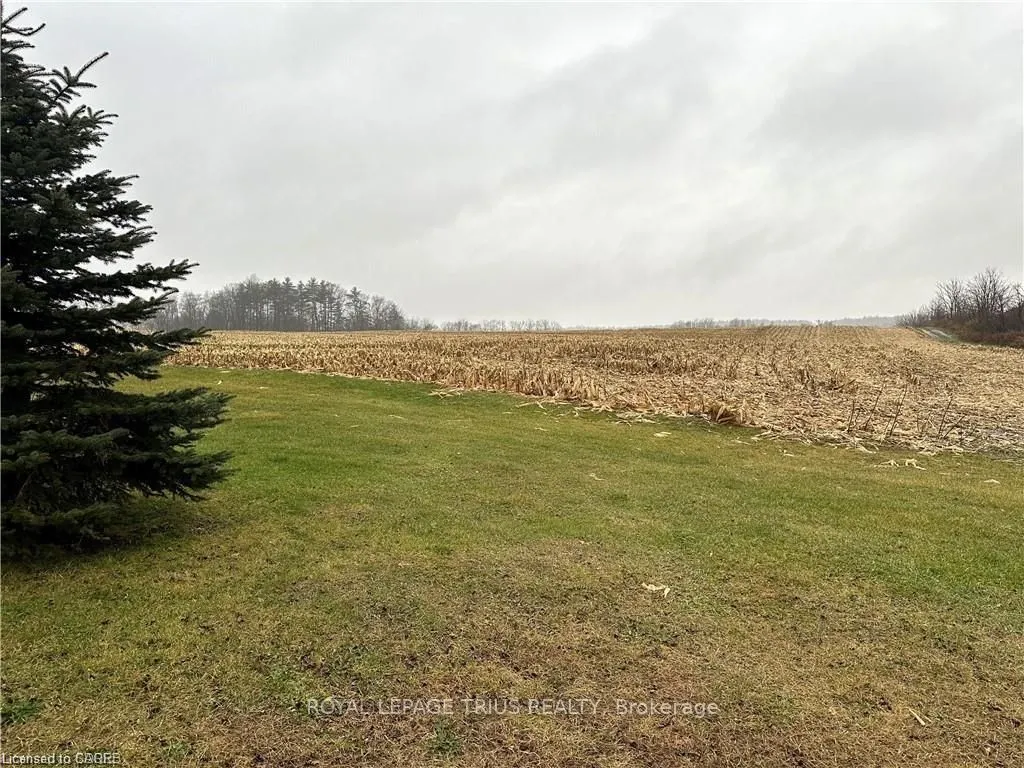 817 Charlotteville East Quarterline Road