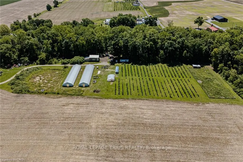 817 Charlotteville East Quarterline Road