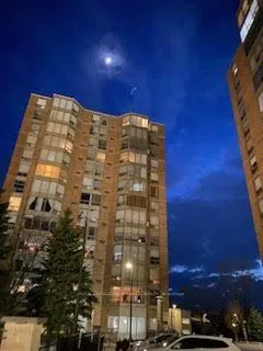 344 Front Street, #1203