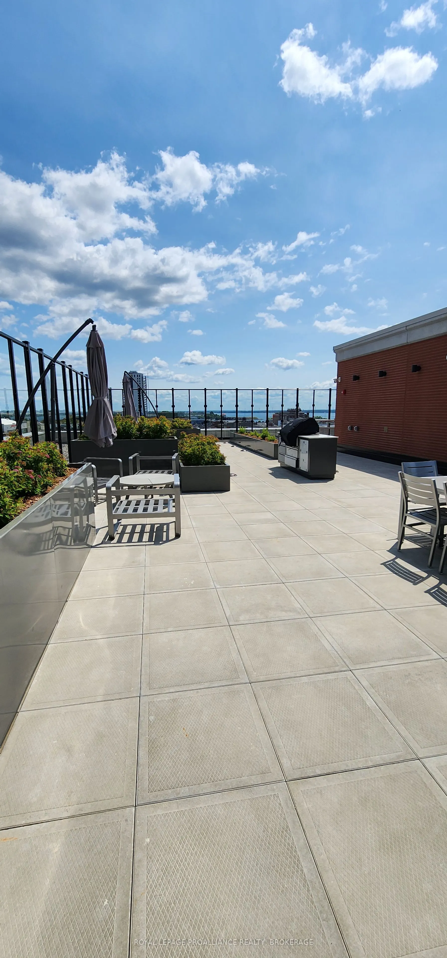 223 Princess Street, #215