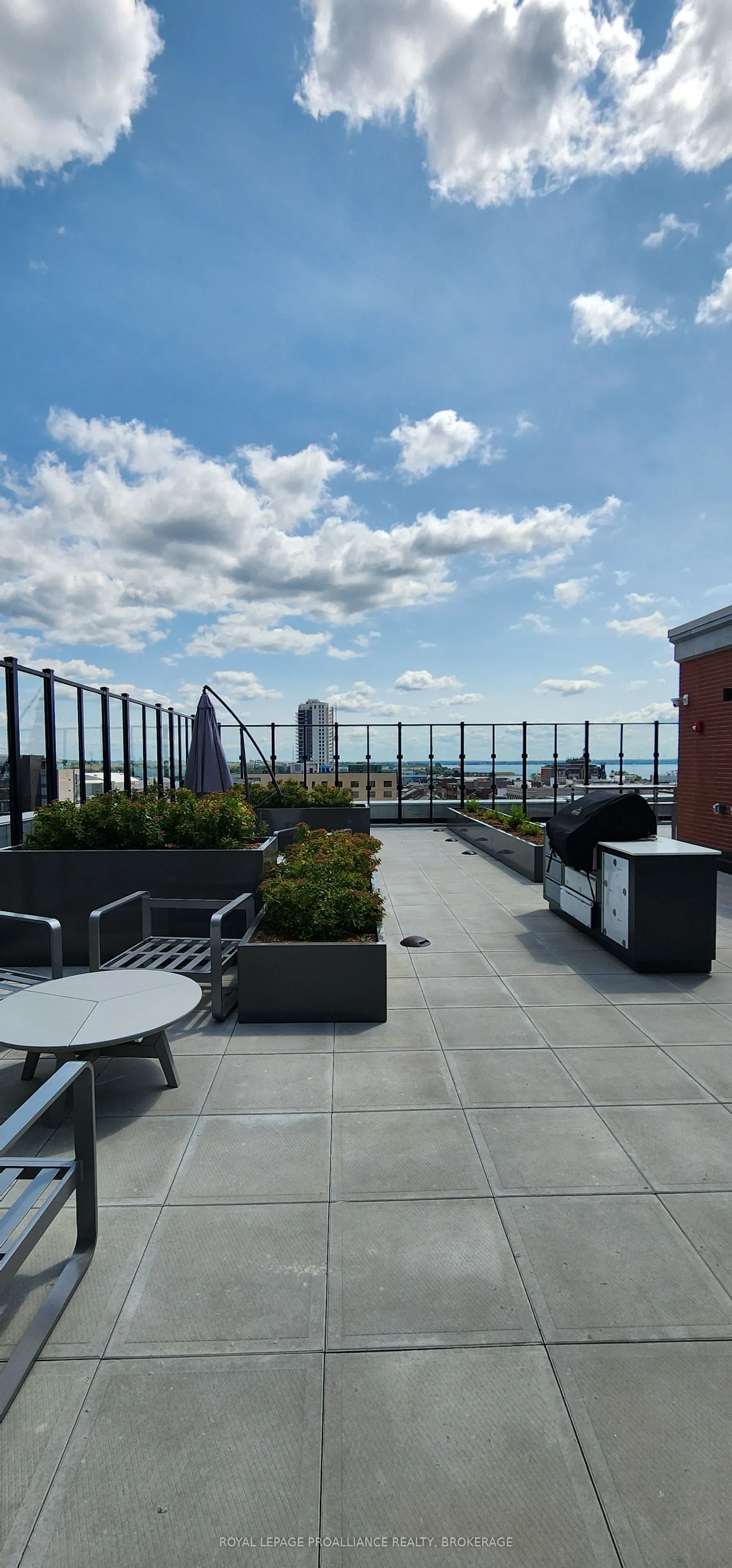 223 Princess Street, #215