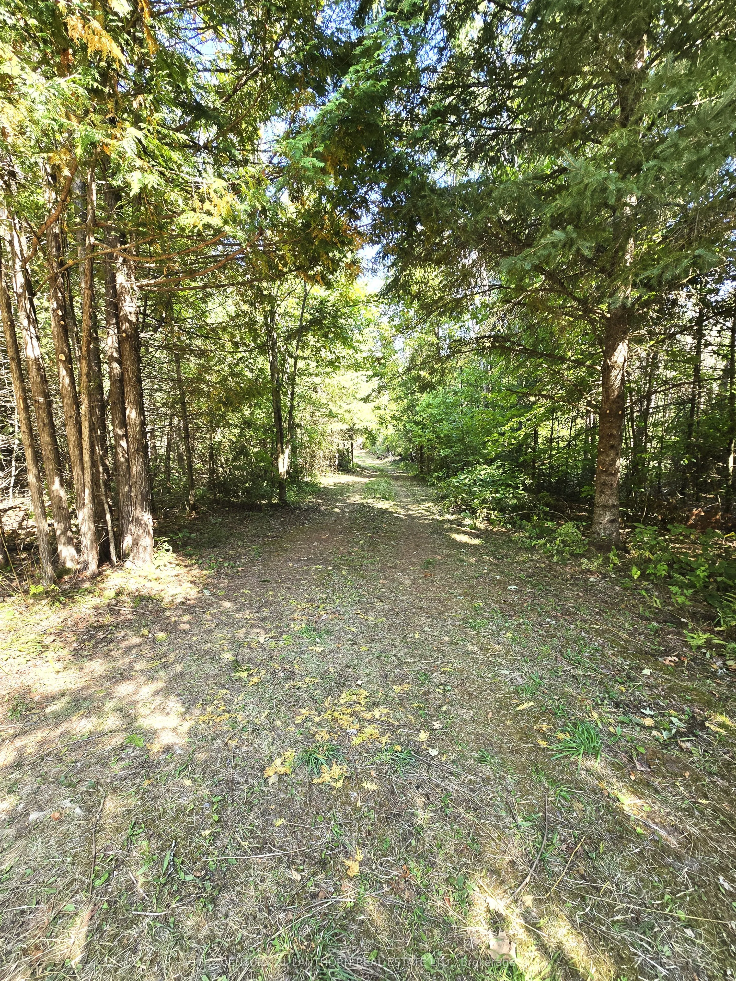 00 Morrison Road