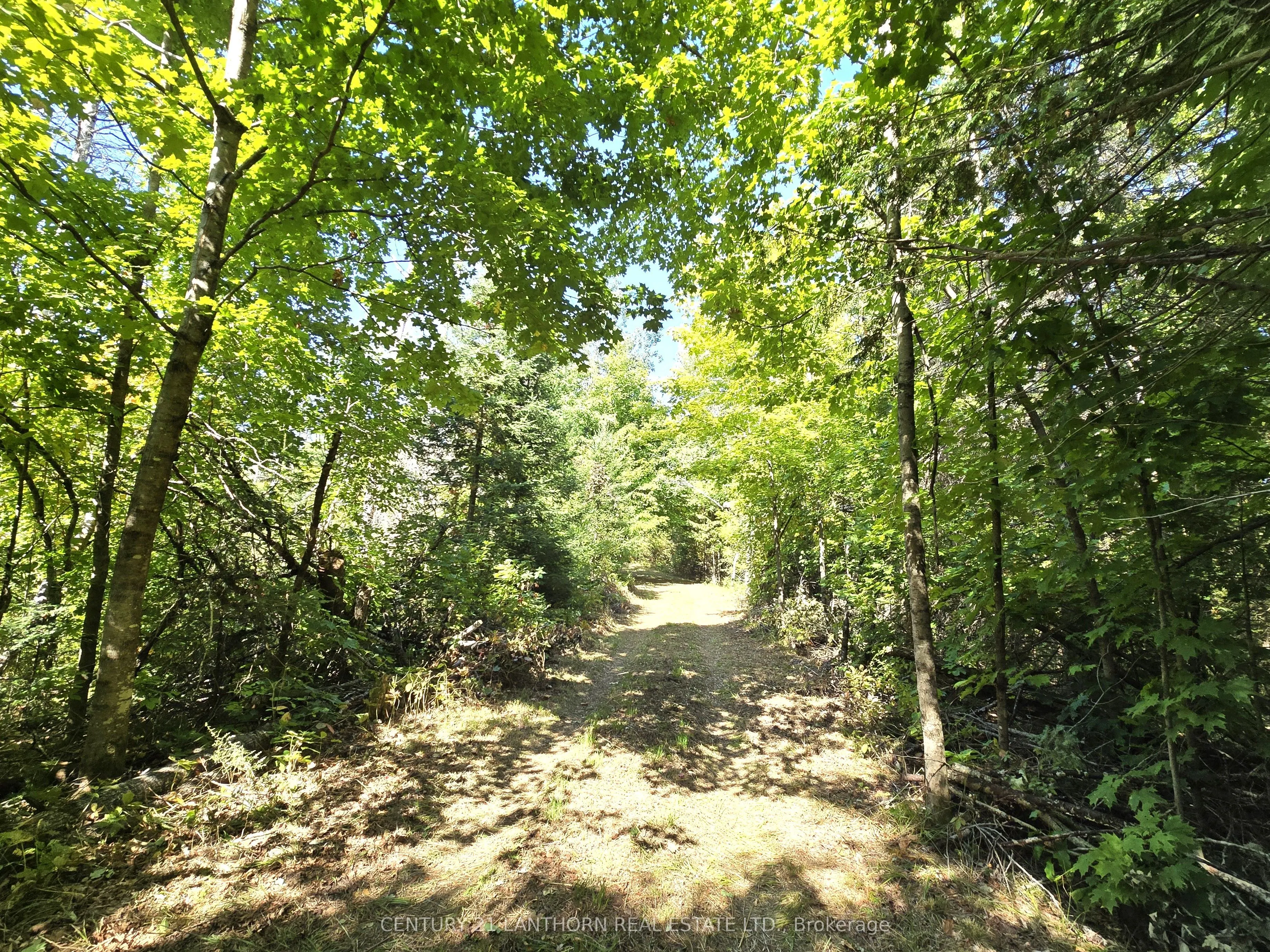 00 Morrison Road
