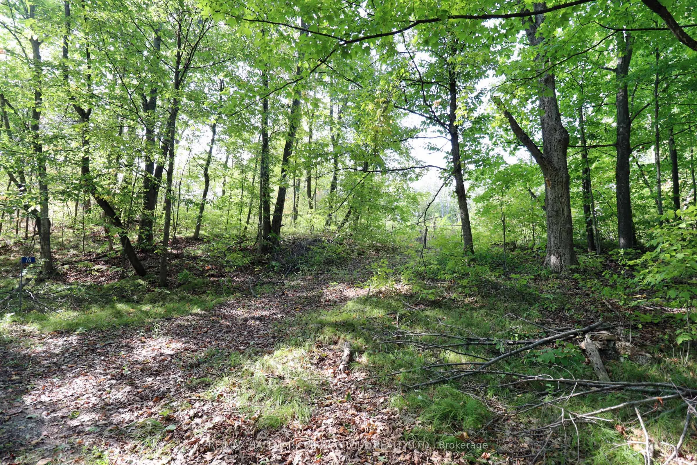 76 Black River Lane