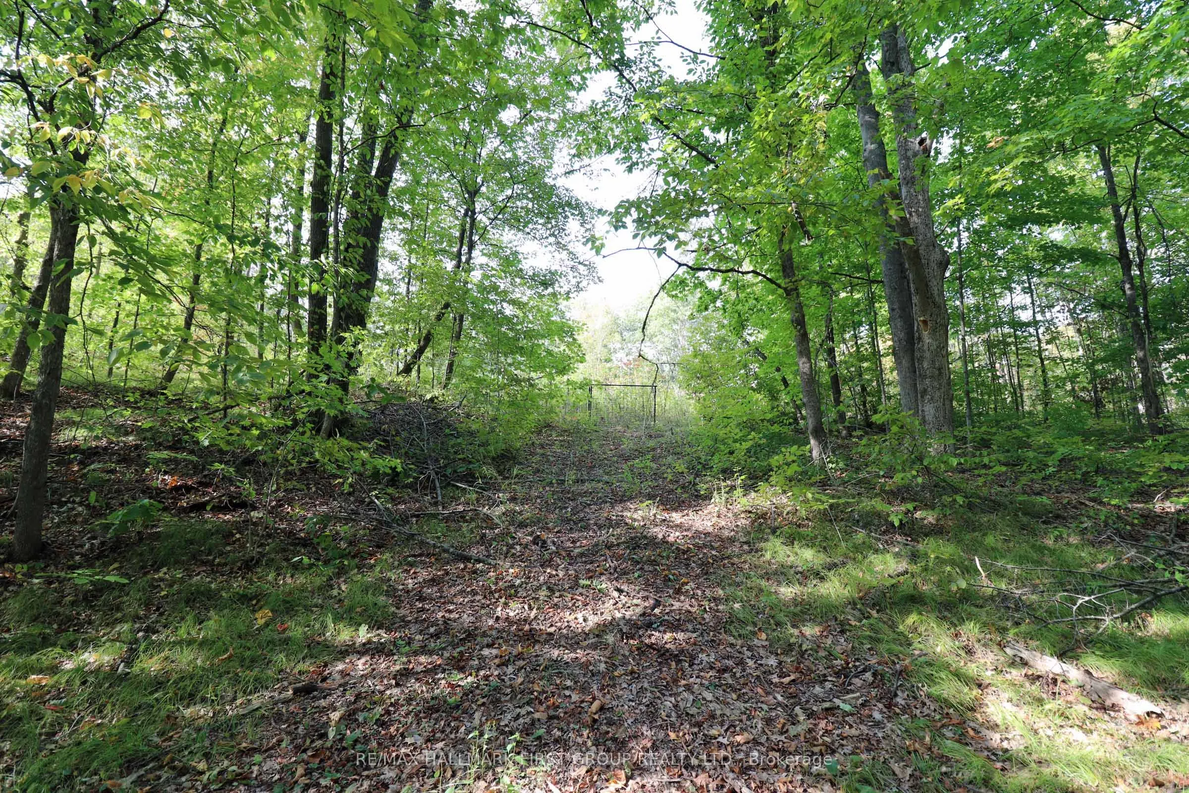 76 Black River Lane