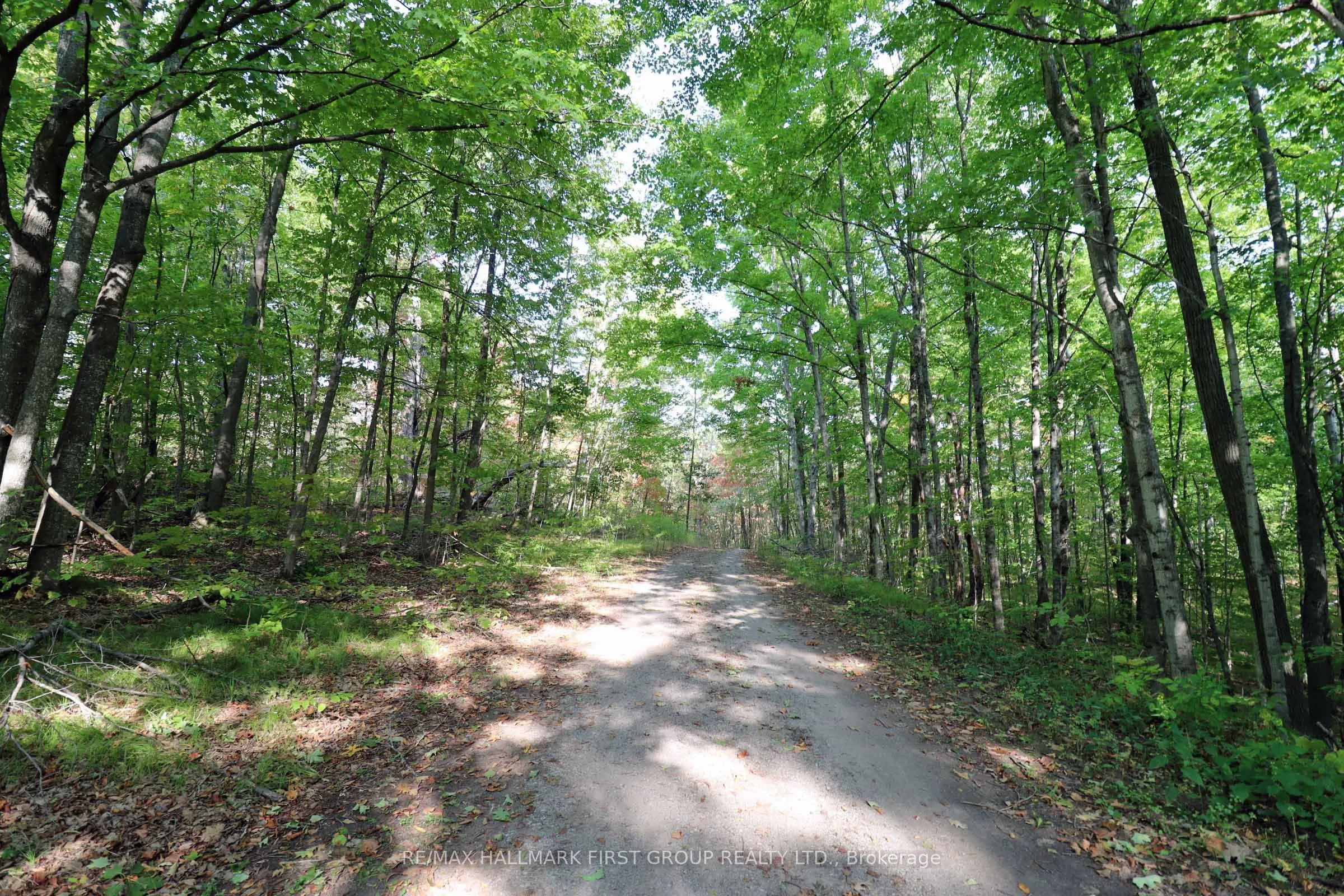 76 Black River Lane