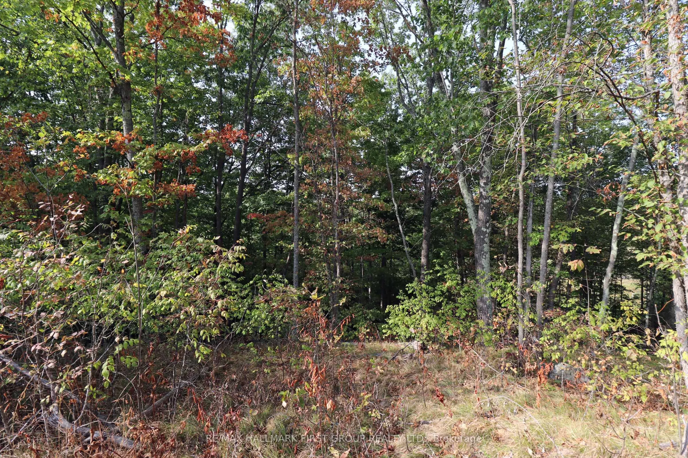 76 Black River Lane